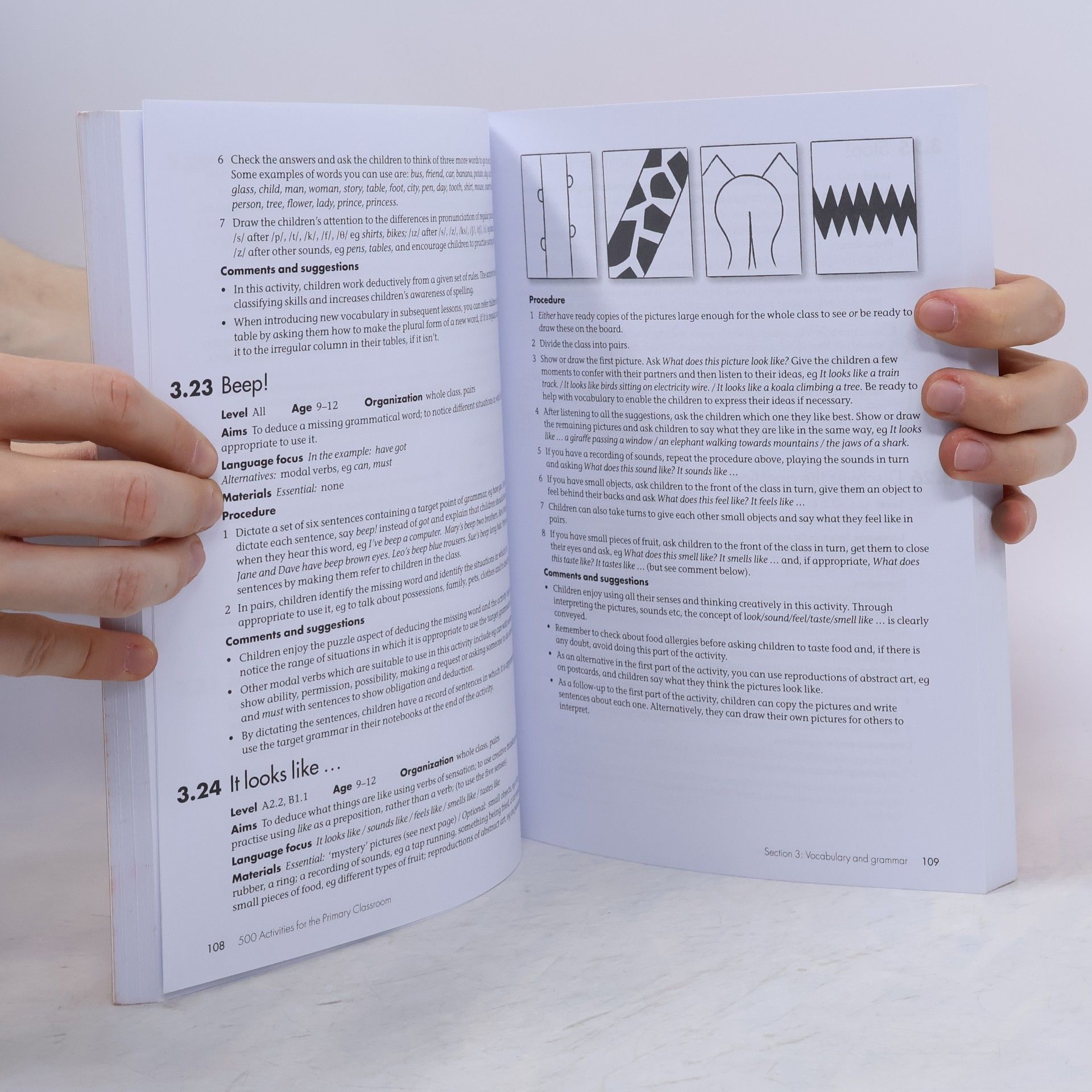 Carol Read 500 Activities for the Primary Classroom