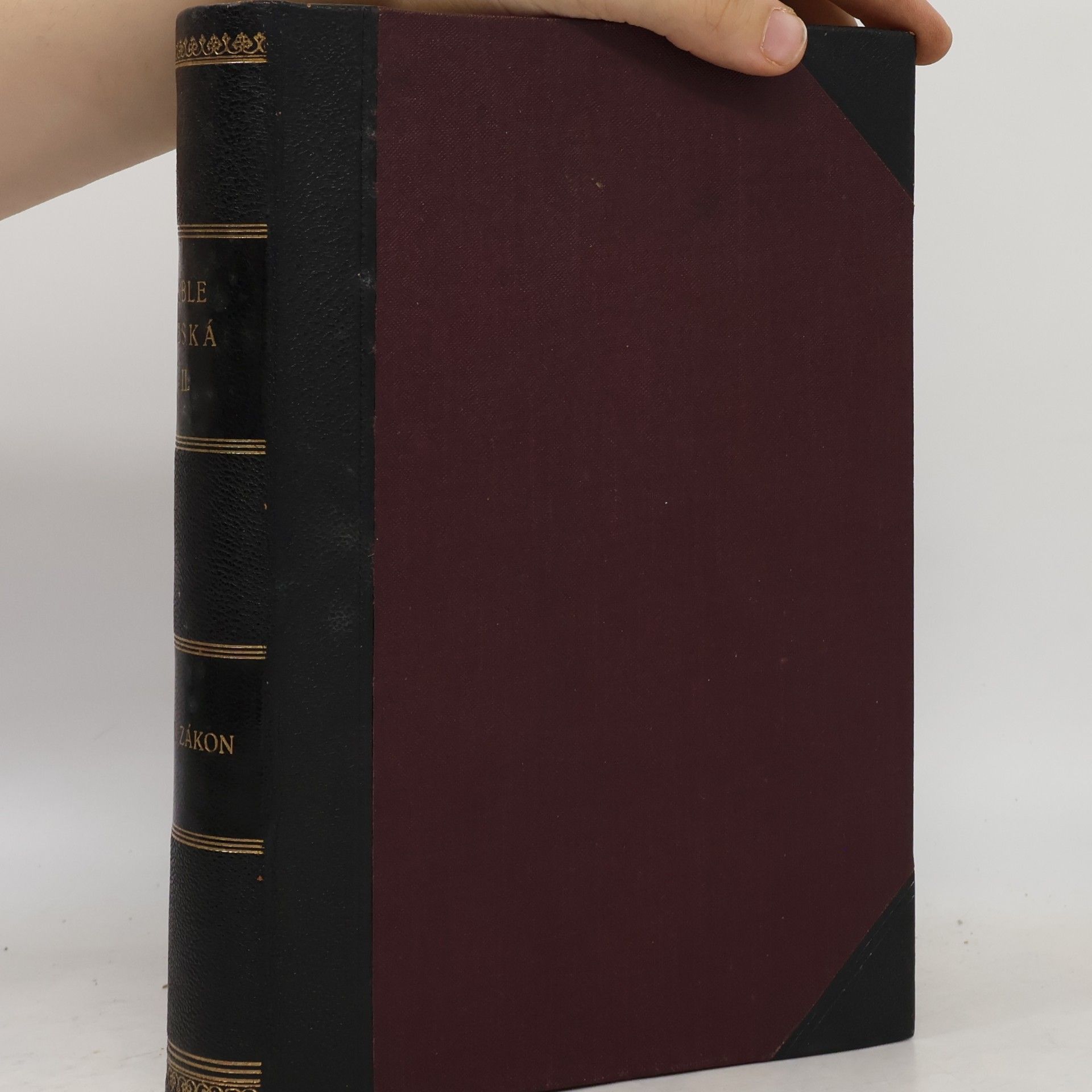 Bible česká. Díl druhý