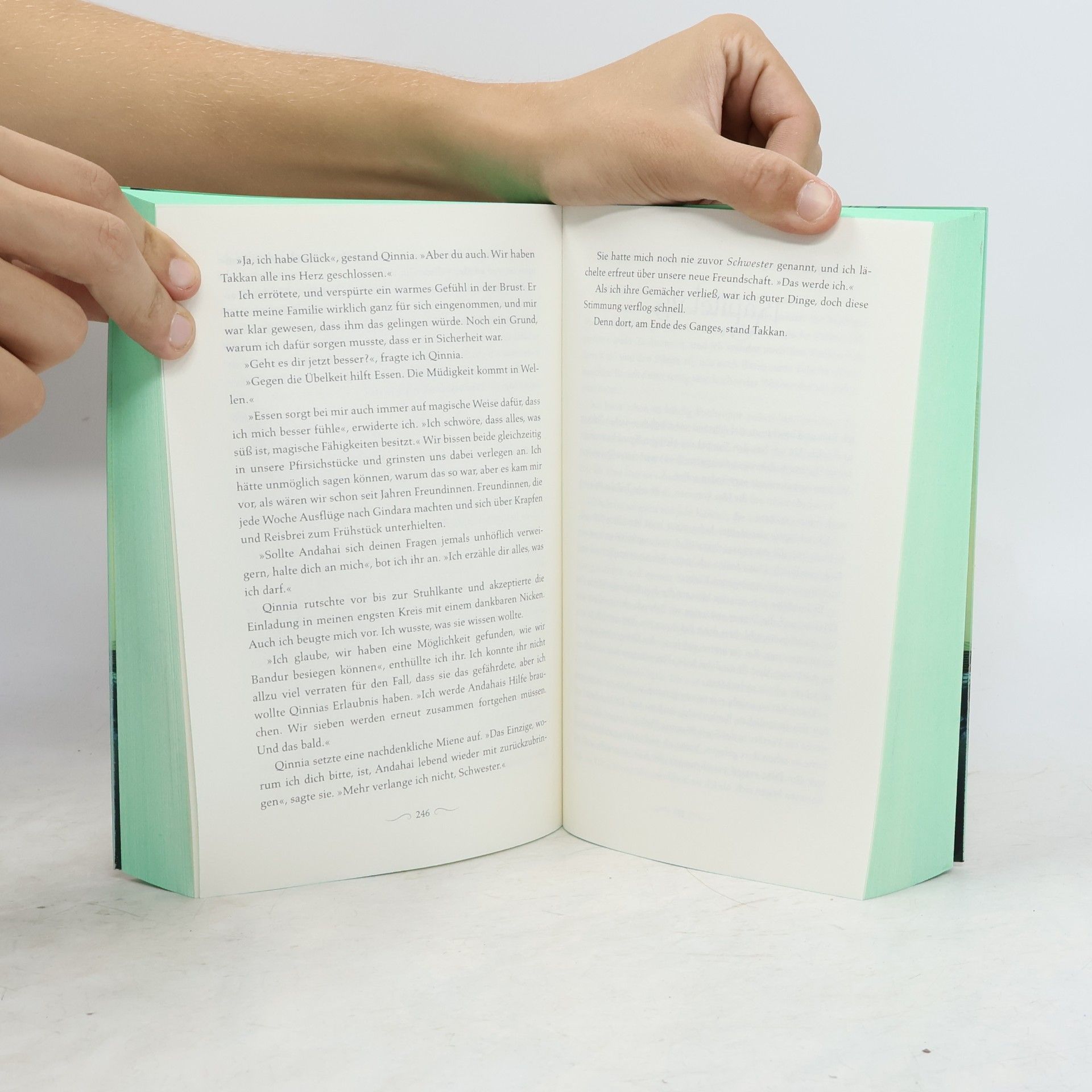 Elizabeth Lim Der Schwur des Drachen