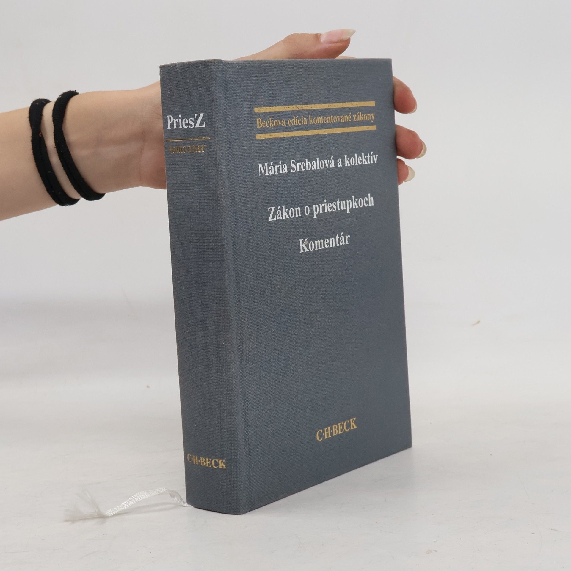 Mária Srebalová  Zákon o priestupkoch