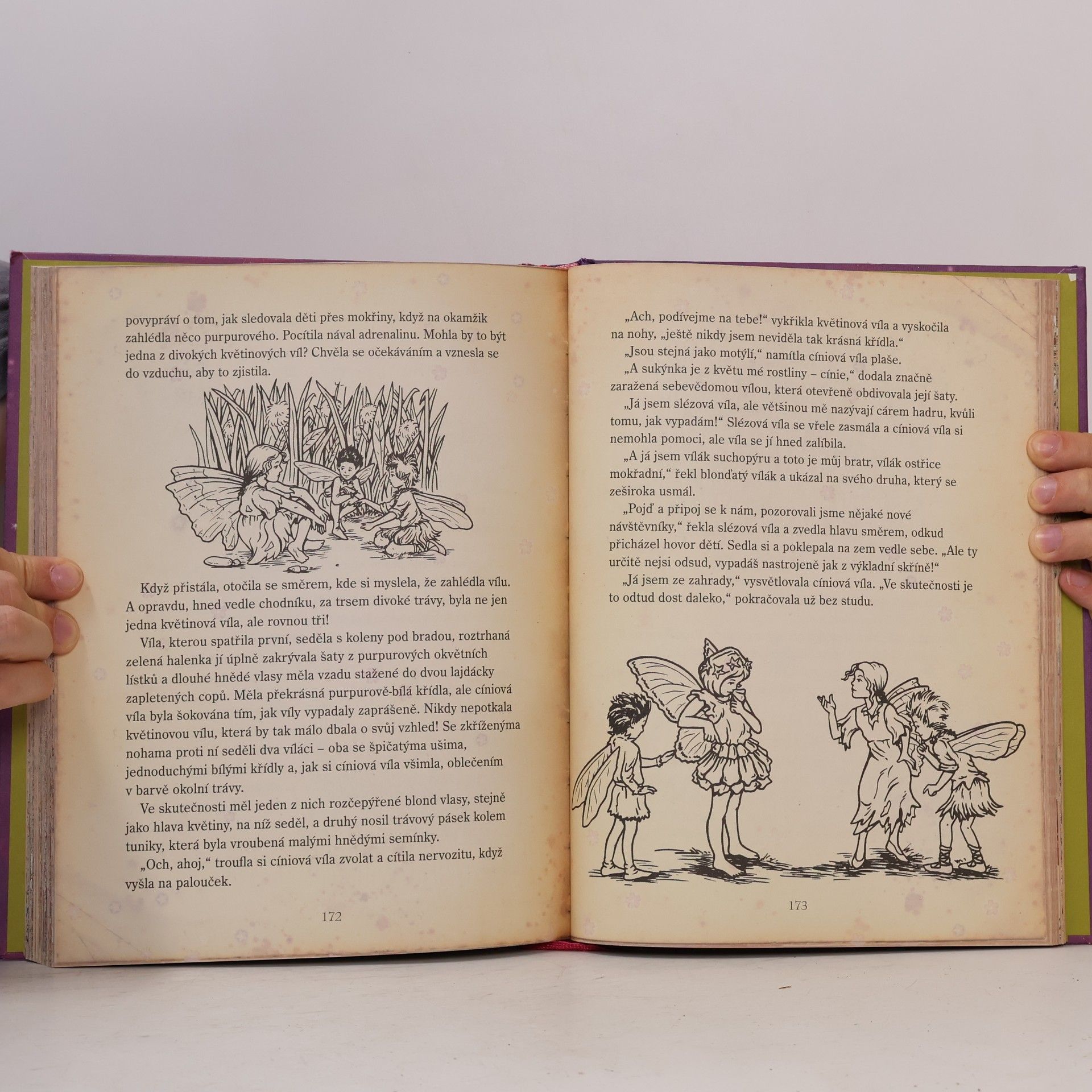 Cicely Mary Barker Květinové víly a jejich tajemný svět