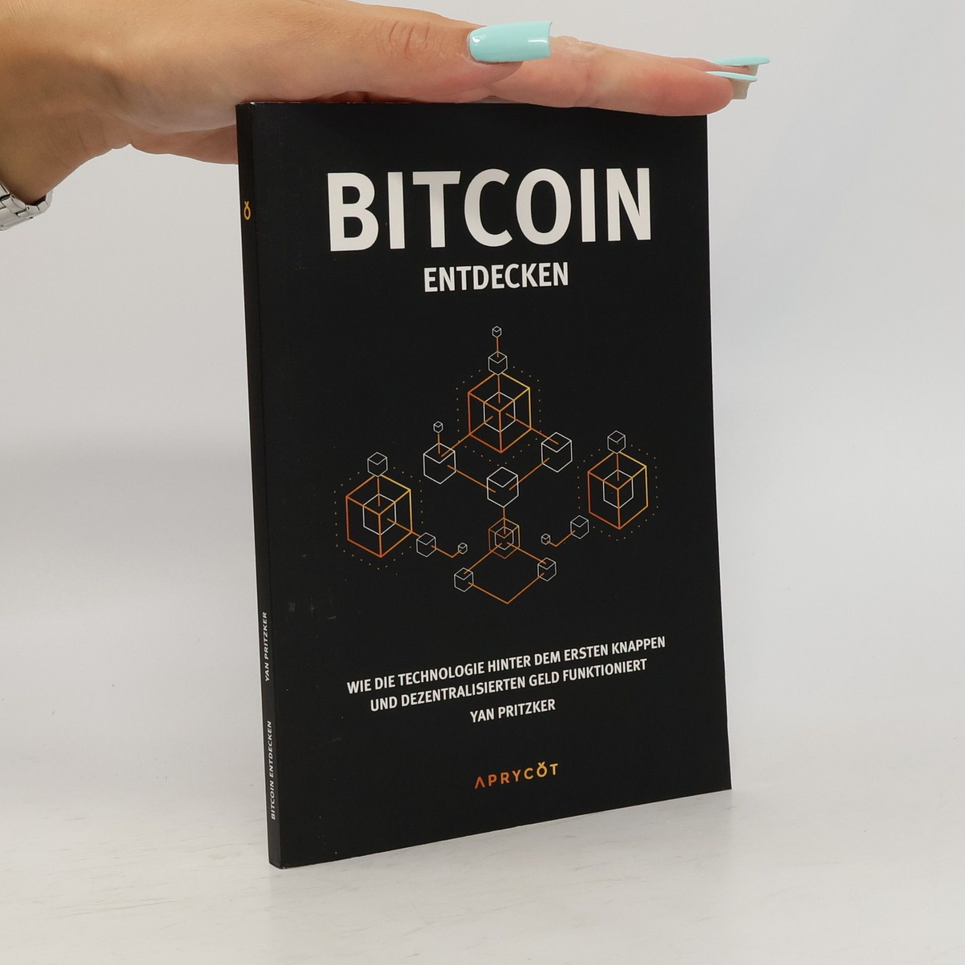 Yan Pritzker Bitcoin entdecken