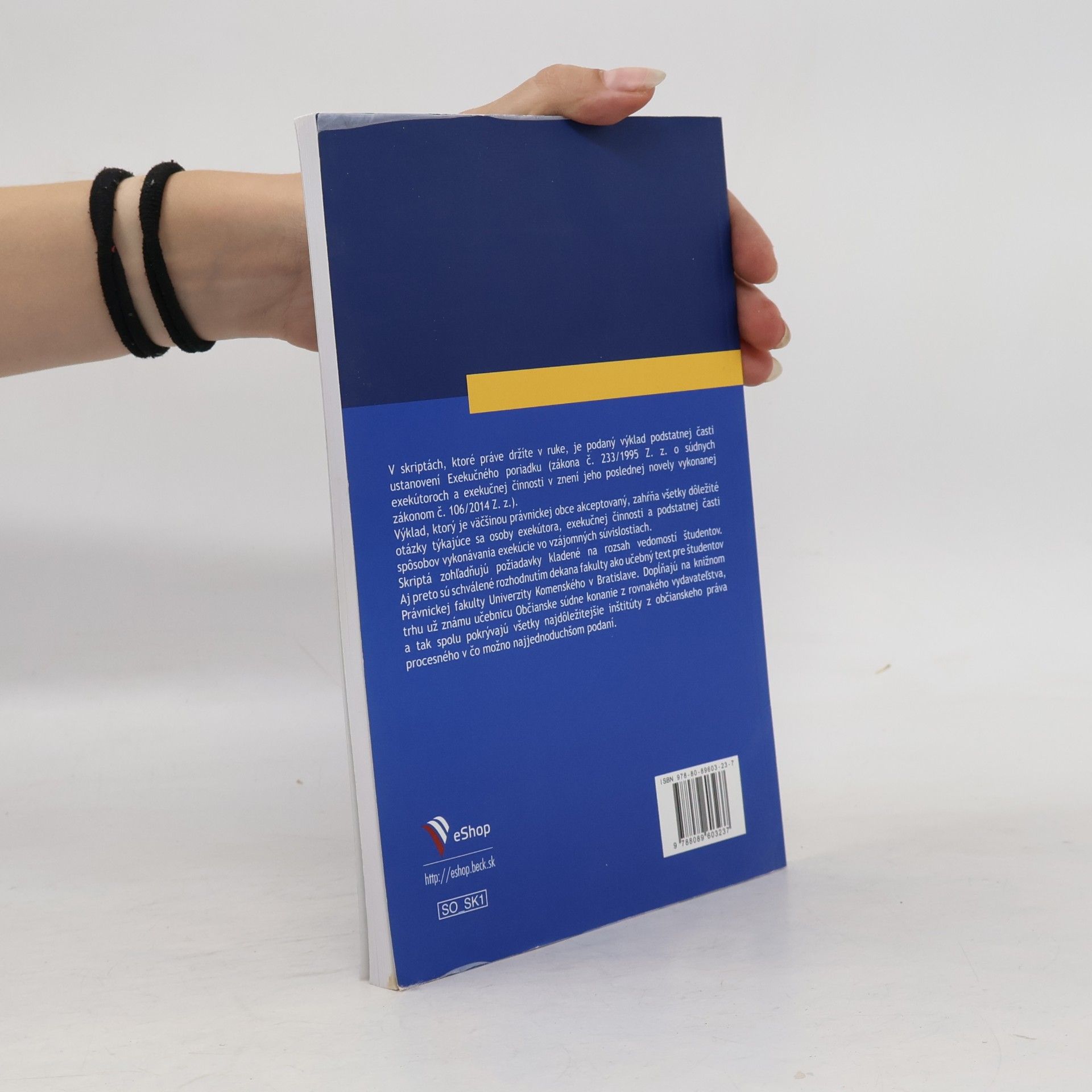 Svetlana Ficová Exekučné konanie