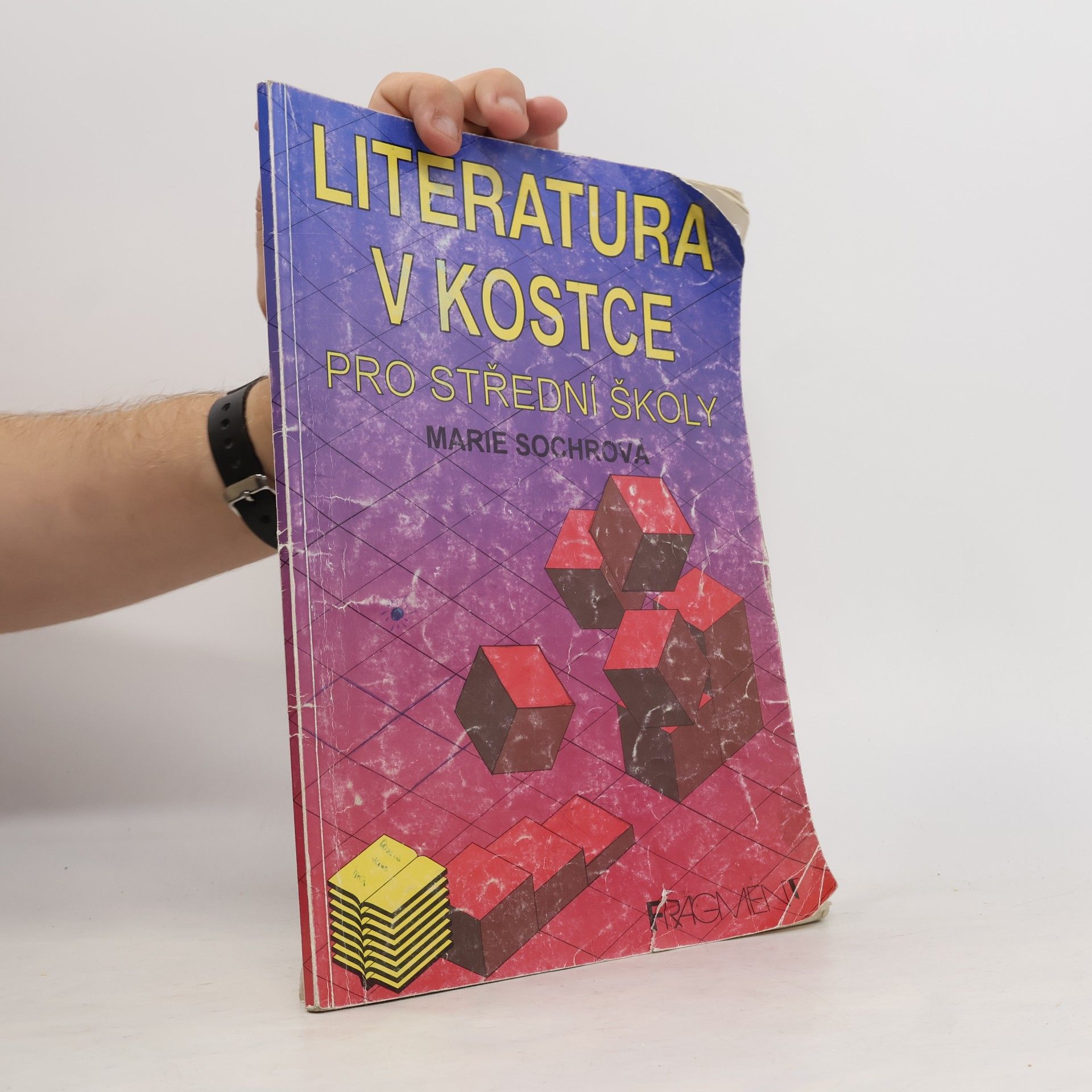 Tomáš Řízek Literatura v kostce