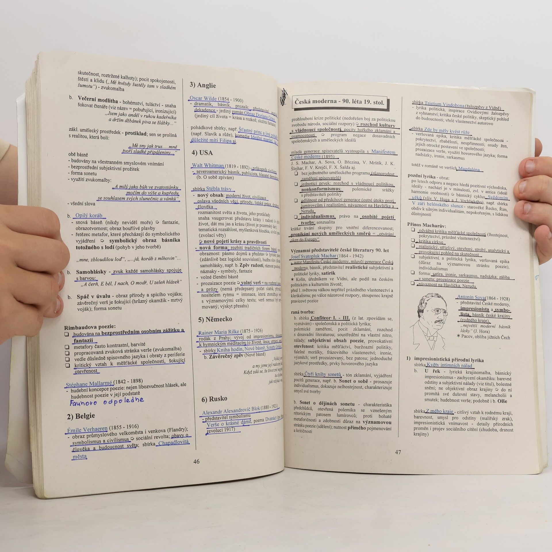Tomáš Řízek Literatura v kostce