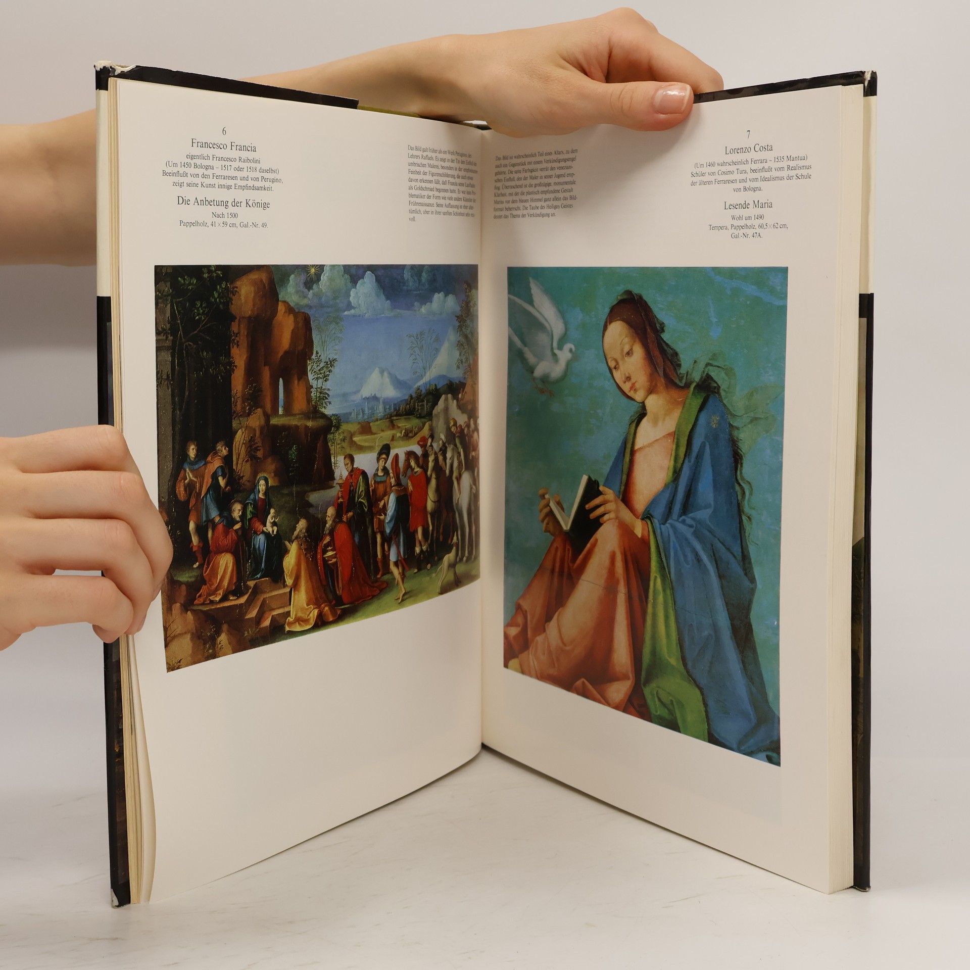 Kolektiv autorů Dresdener Gemäldegalerie alte und neue Meister