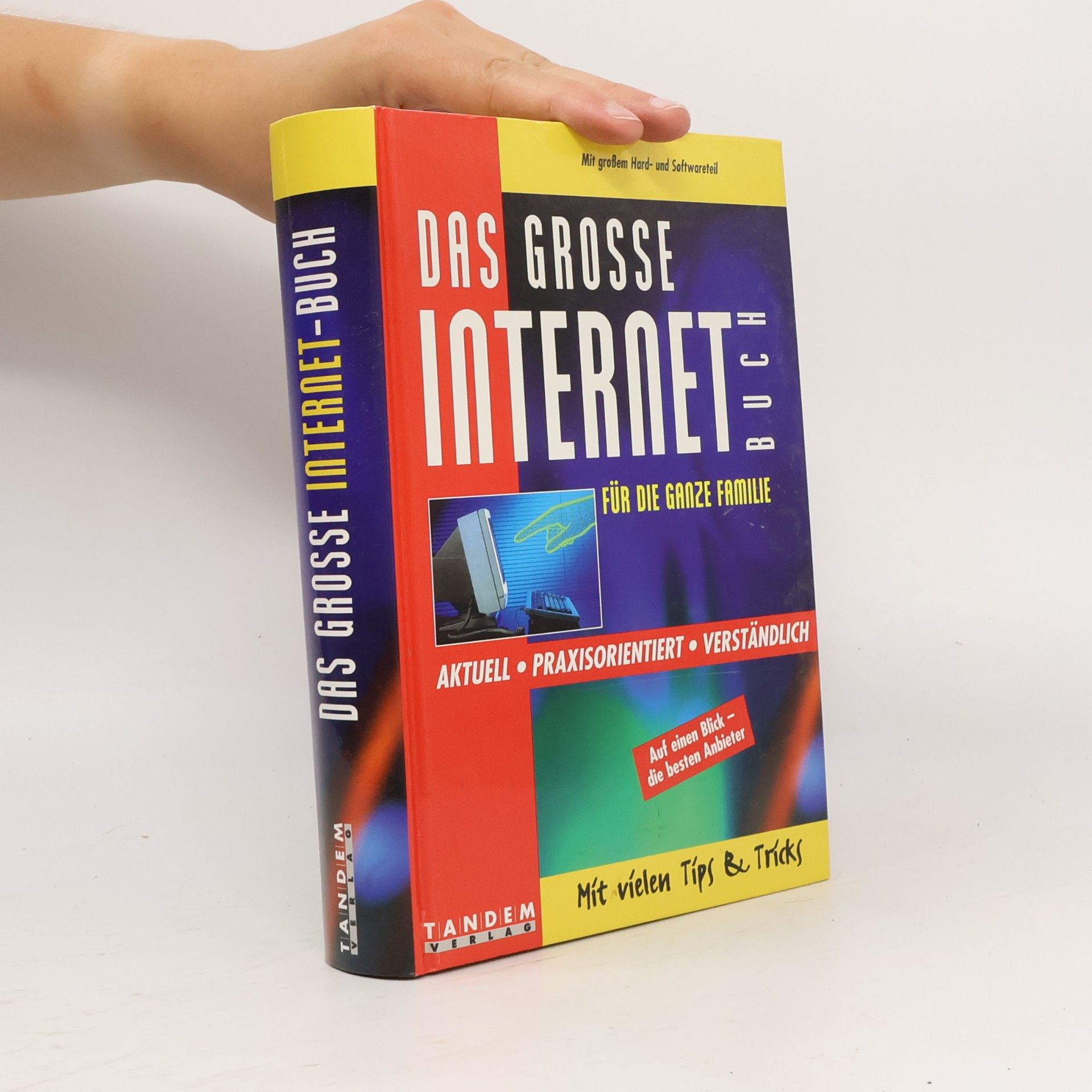 Klaus Wörle Das grosse Internet-Buch für die ganze Familie