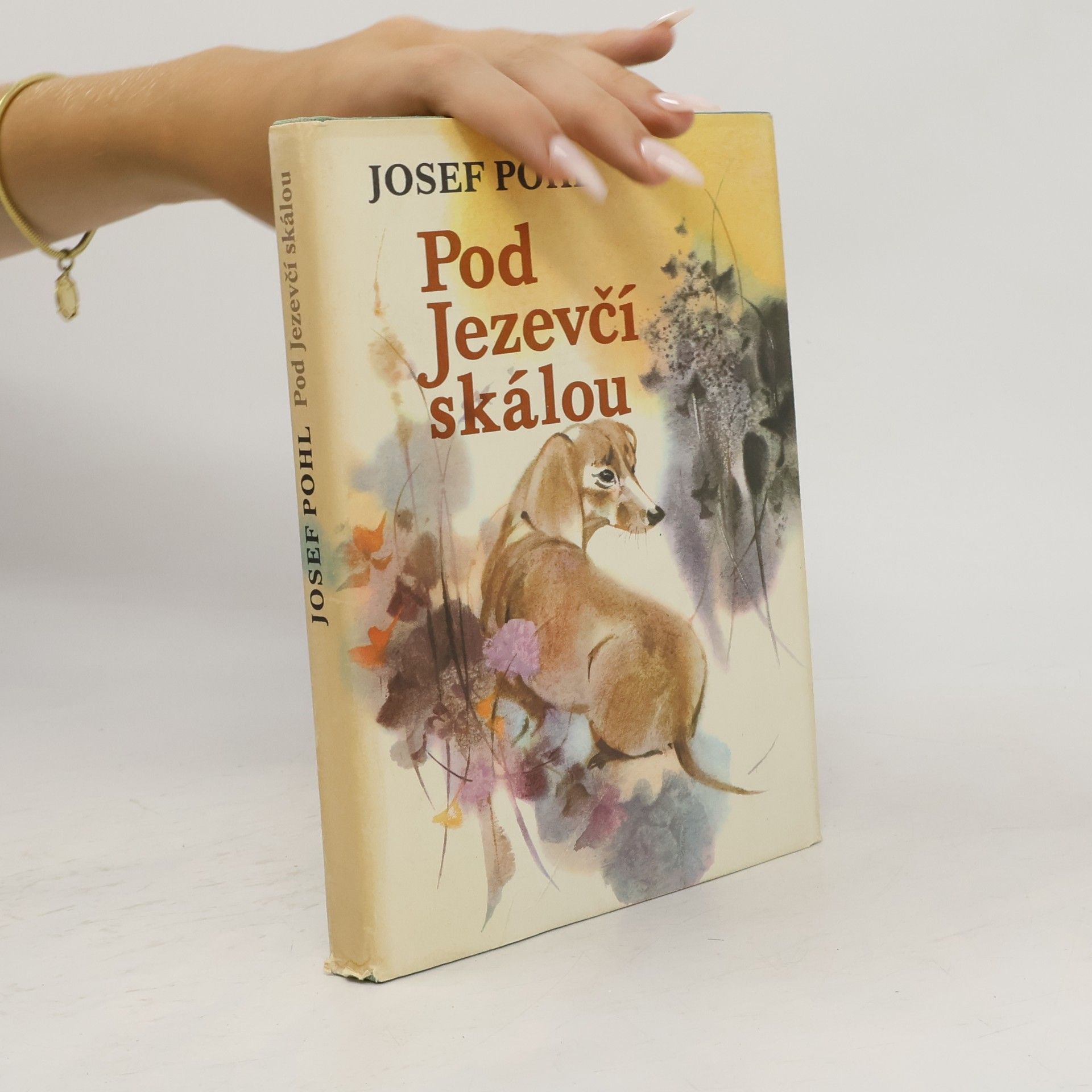 Josef Pohl Pod Jezevčí skálou