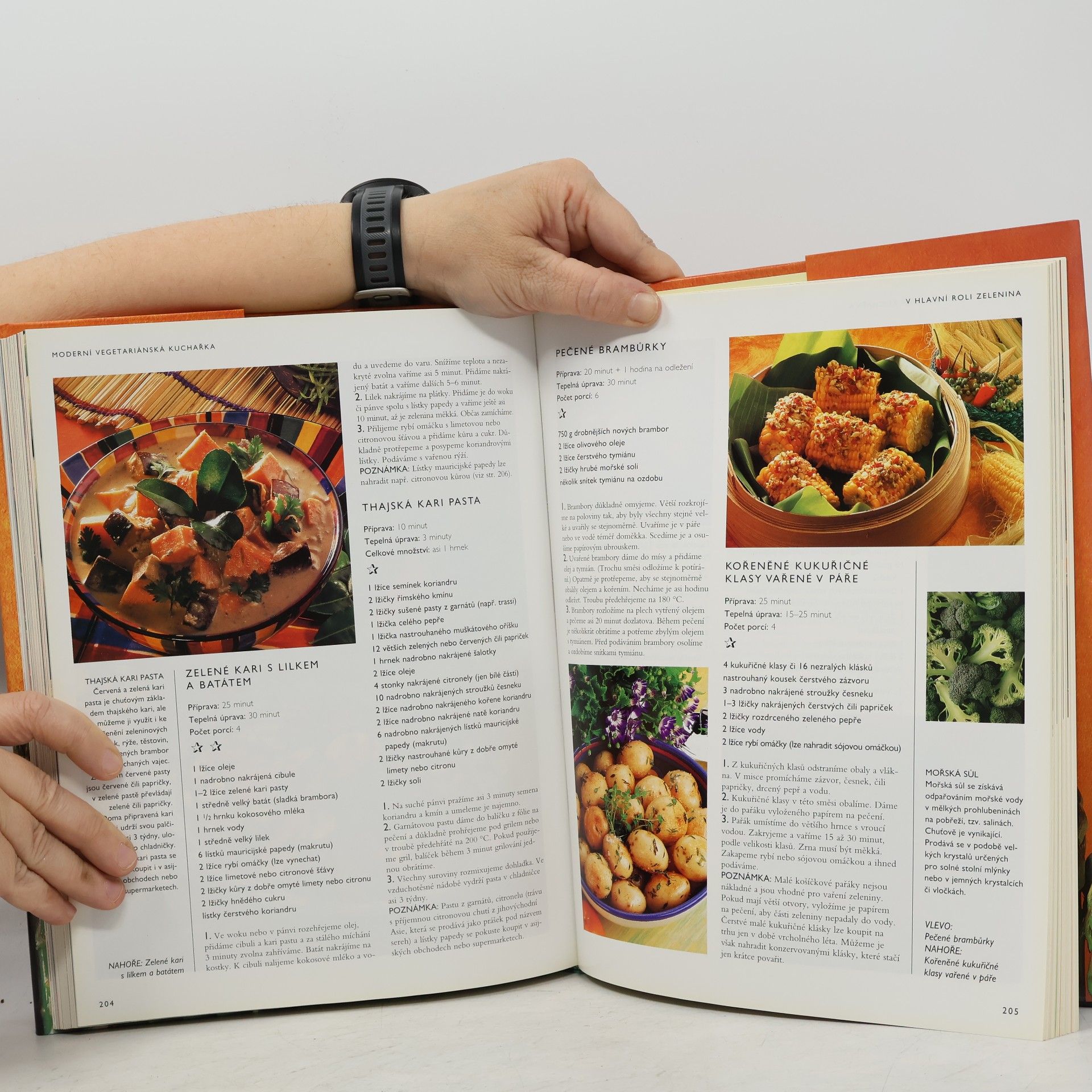 Jana Steinerová Moderní vegetariánská kuchařka