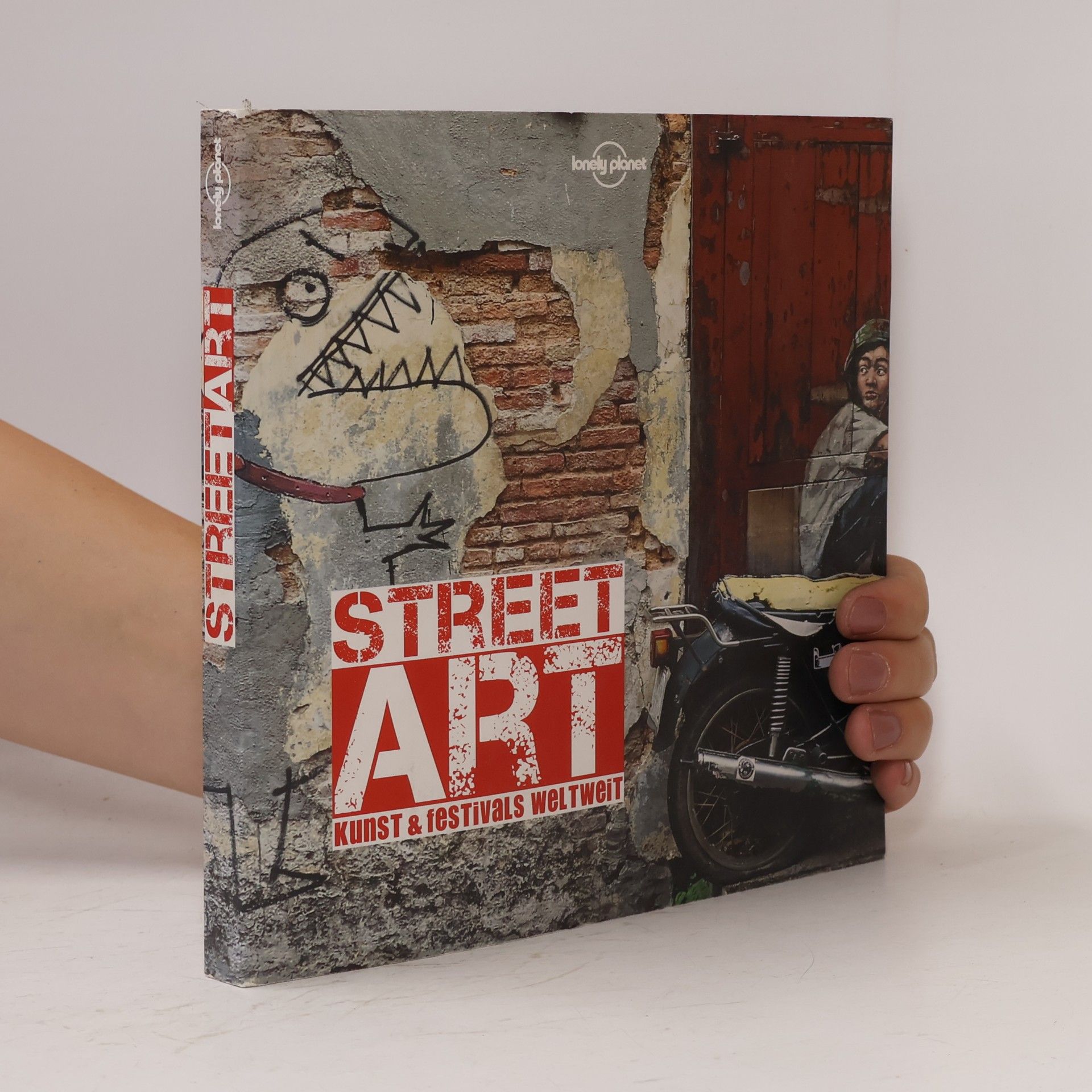 Dorothea Spottke Lonely Planet Bildband Street Art