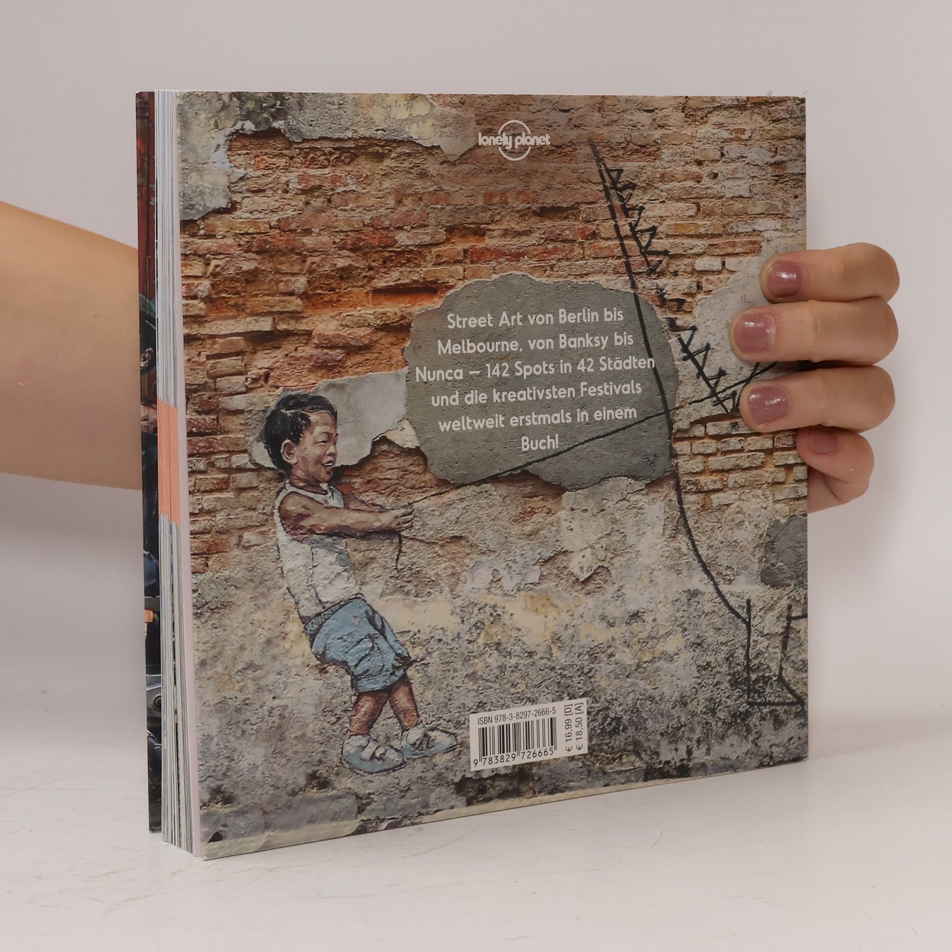 Dorothea Spottke Lonely Planet Bildband Street Art