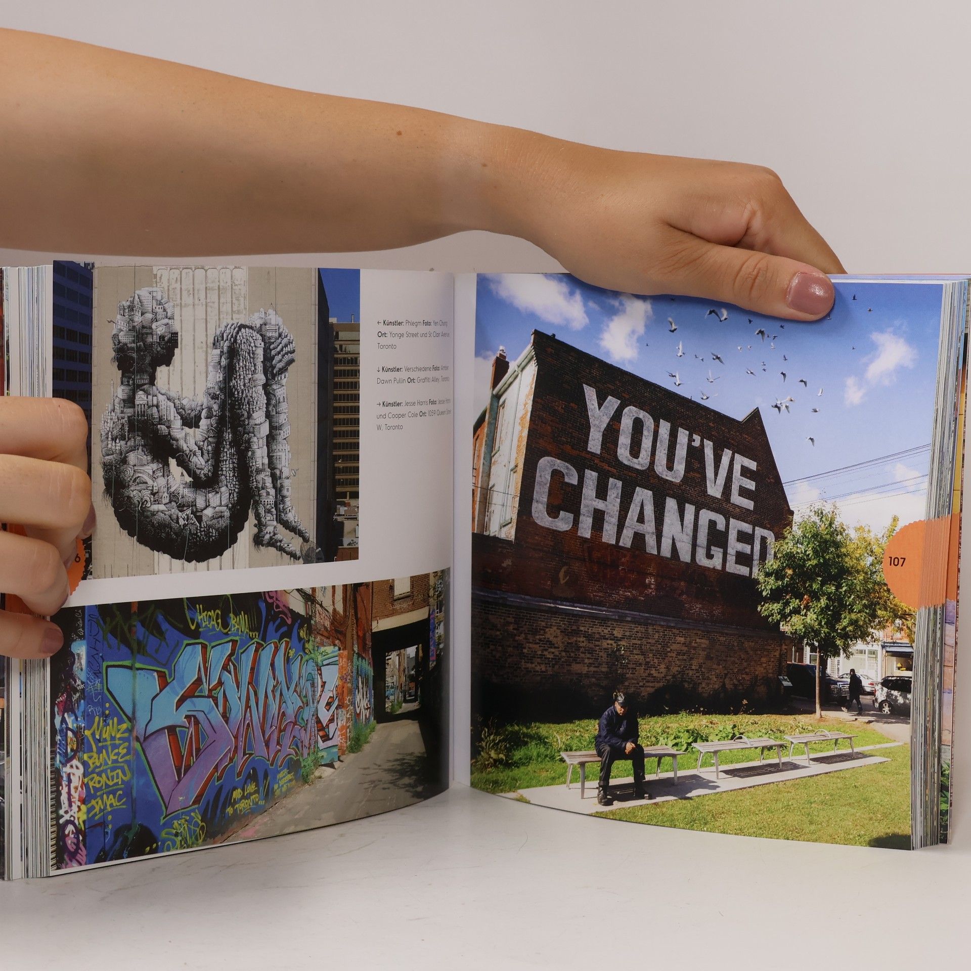 Dorothea Spottke Lonely Planet Bildband Street Art