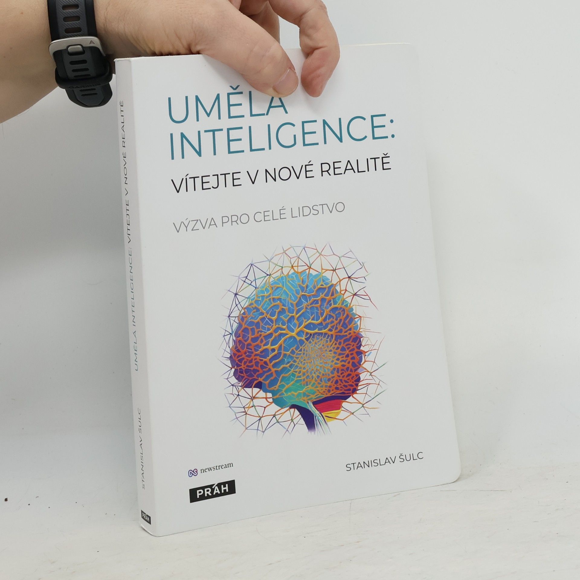 Stanislav Šulc Umělá inteligence. Vítejte v nové realitě. Výzva pro celé lidstvo