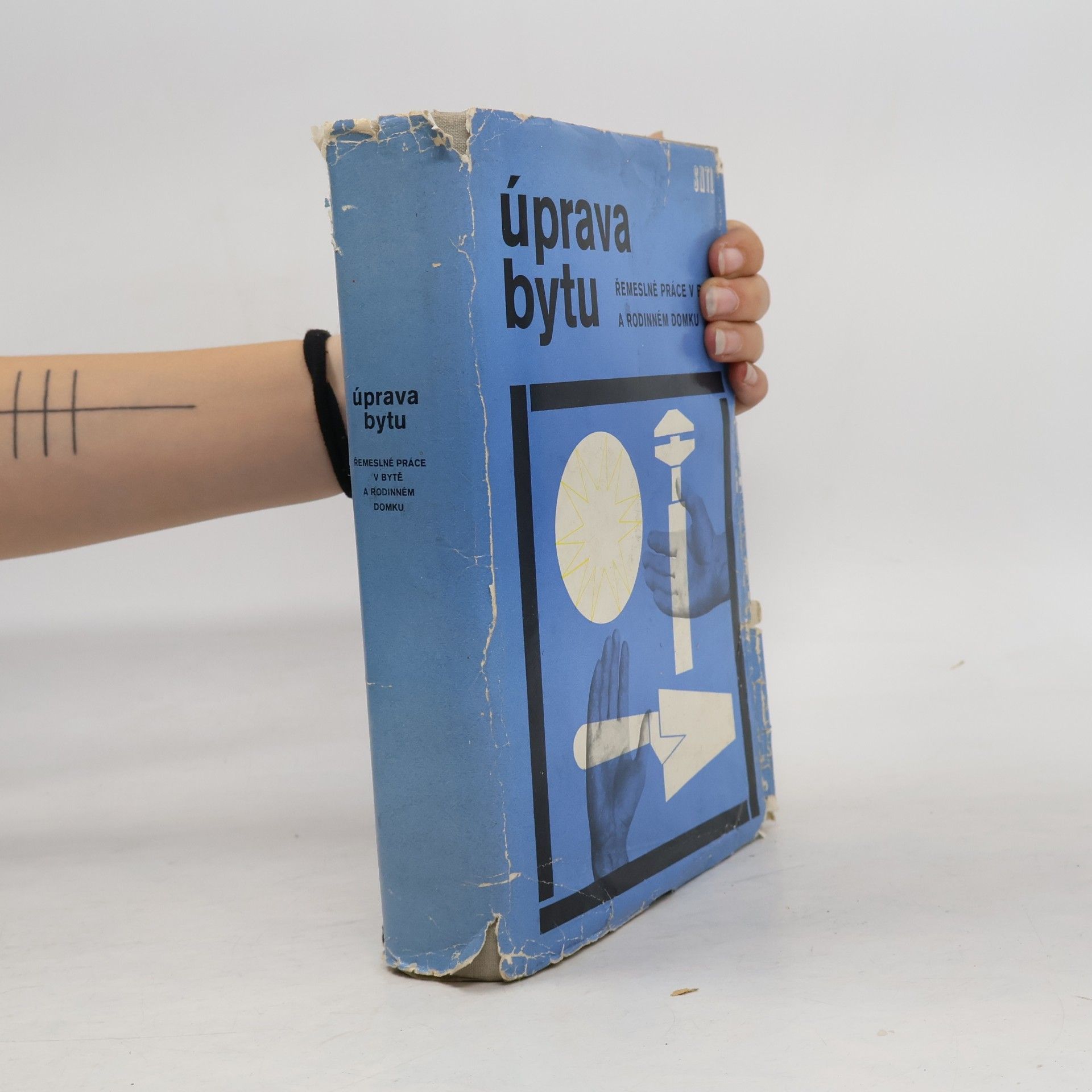 Autorenkollektiv Úprava bytu. Řemeslné práce v bytě a rodinném domku