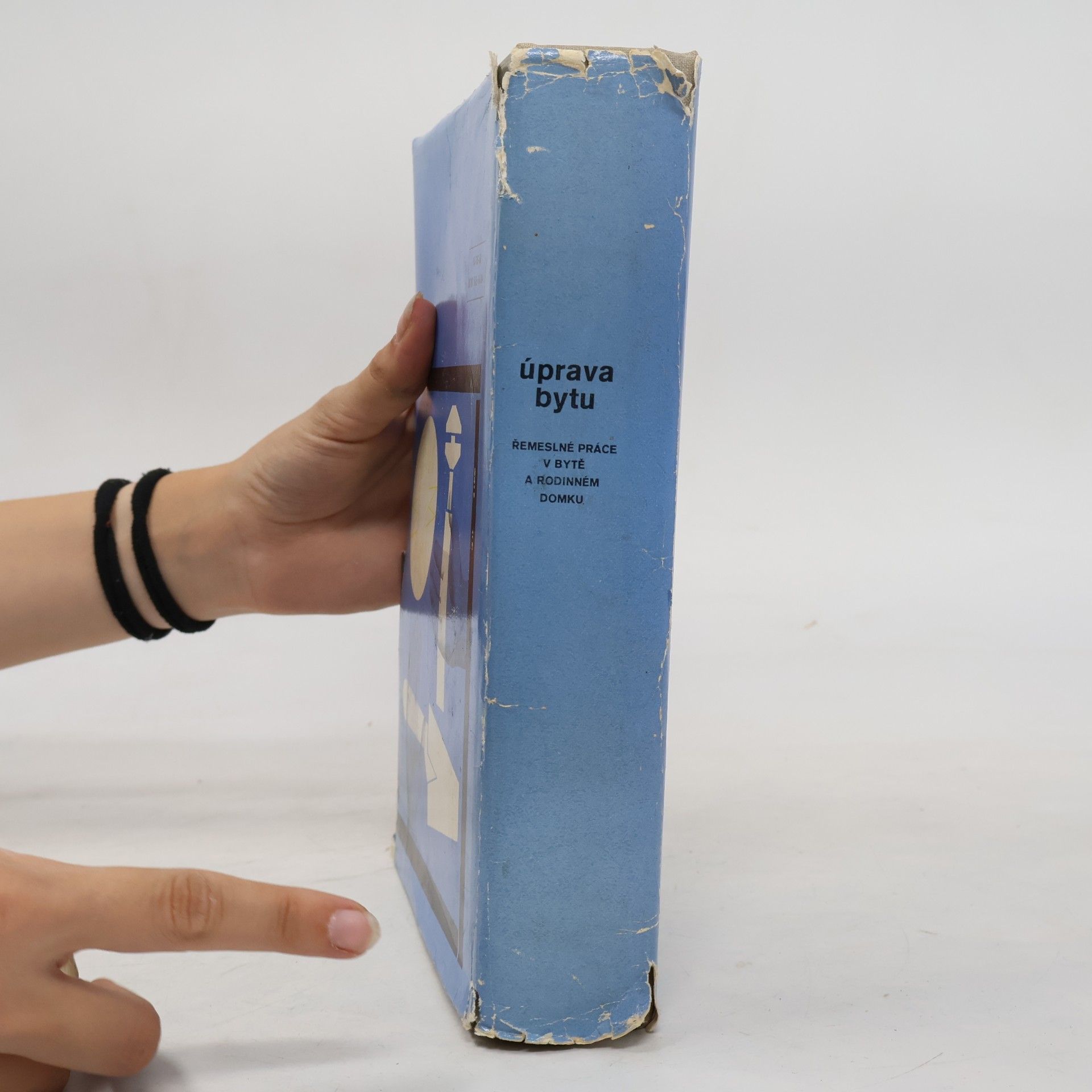 Autorenkollektiv Úprava bytu. Řemeslné práce v bytě a rodinném domku