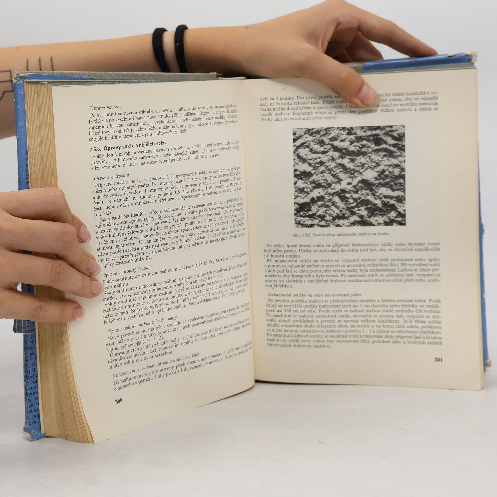 Autorenkollektiv Úprava bytu. Řemeslné práce v bytě a rodinném domku