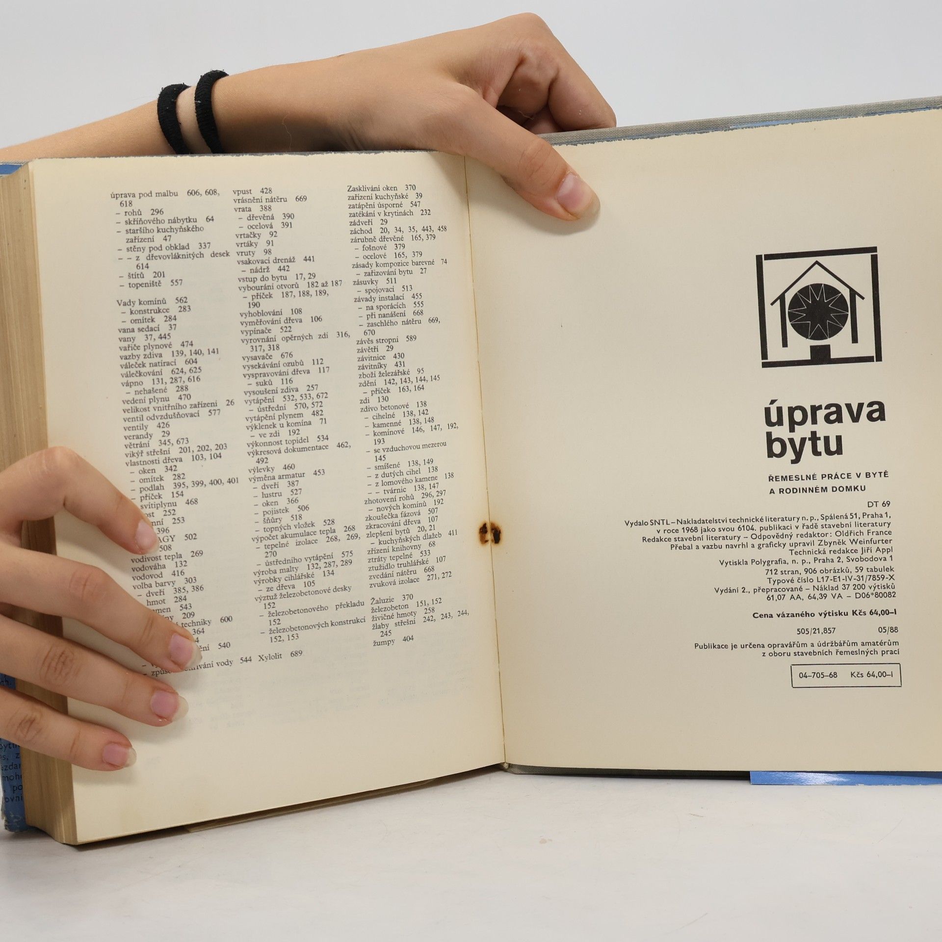 Autorenkollektiv Úprava bytu. Řemeslné práce v bytě a rodinném domku