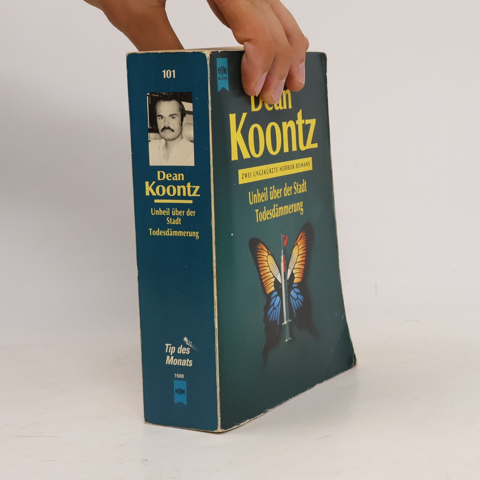 Dean Ray Koontz Unheil über der Stadt