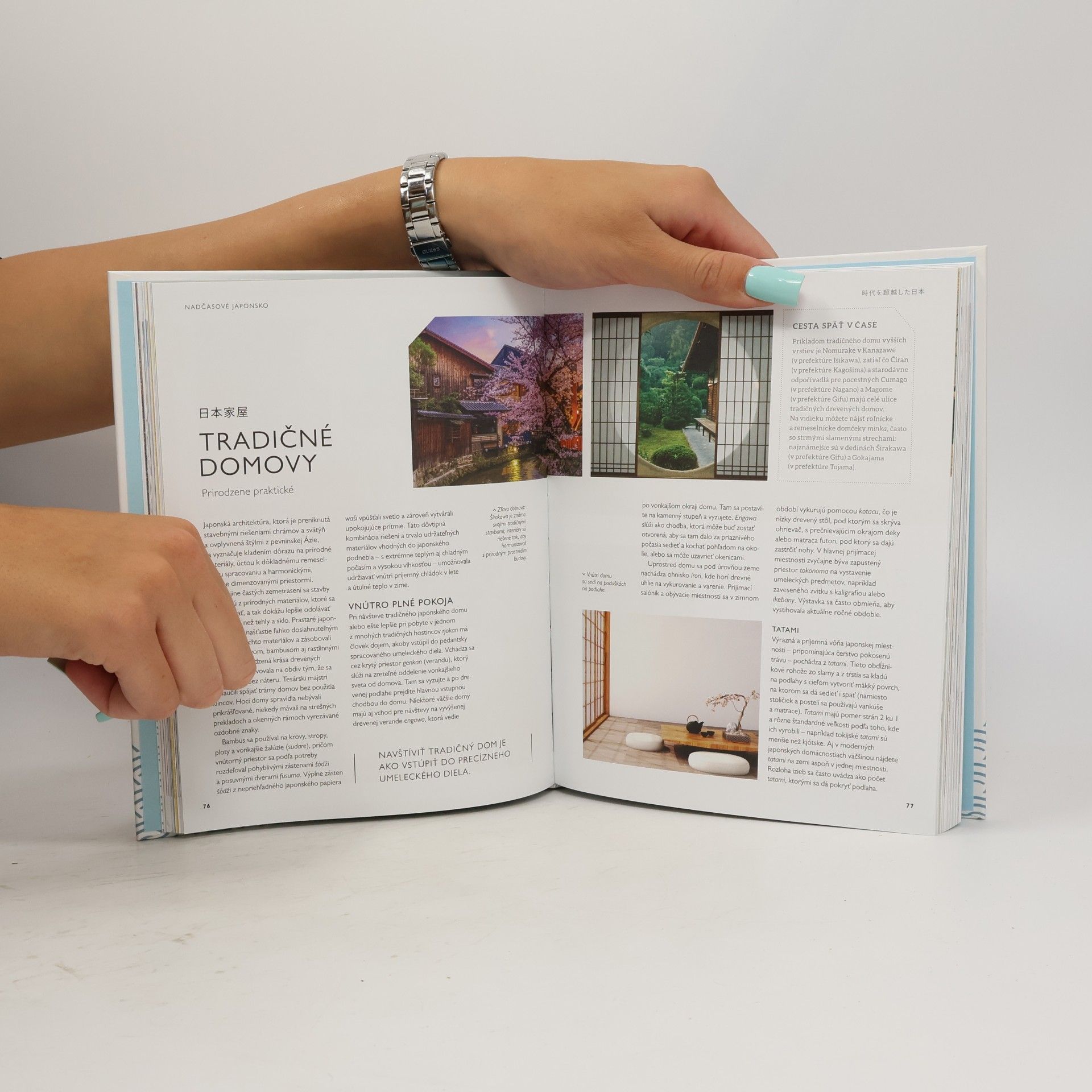 Collectif d'auteurs Japonsko: Umenie japonského života