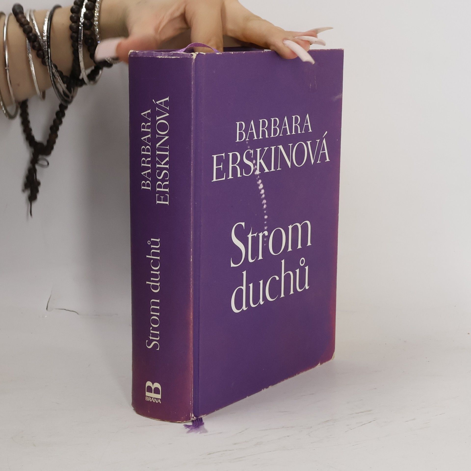 Barbara Erskine Strom duchů