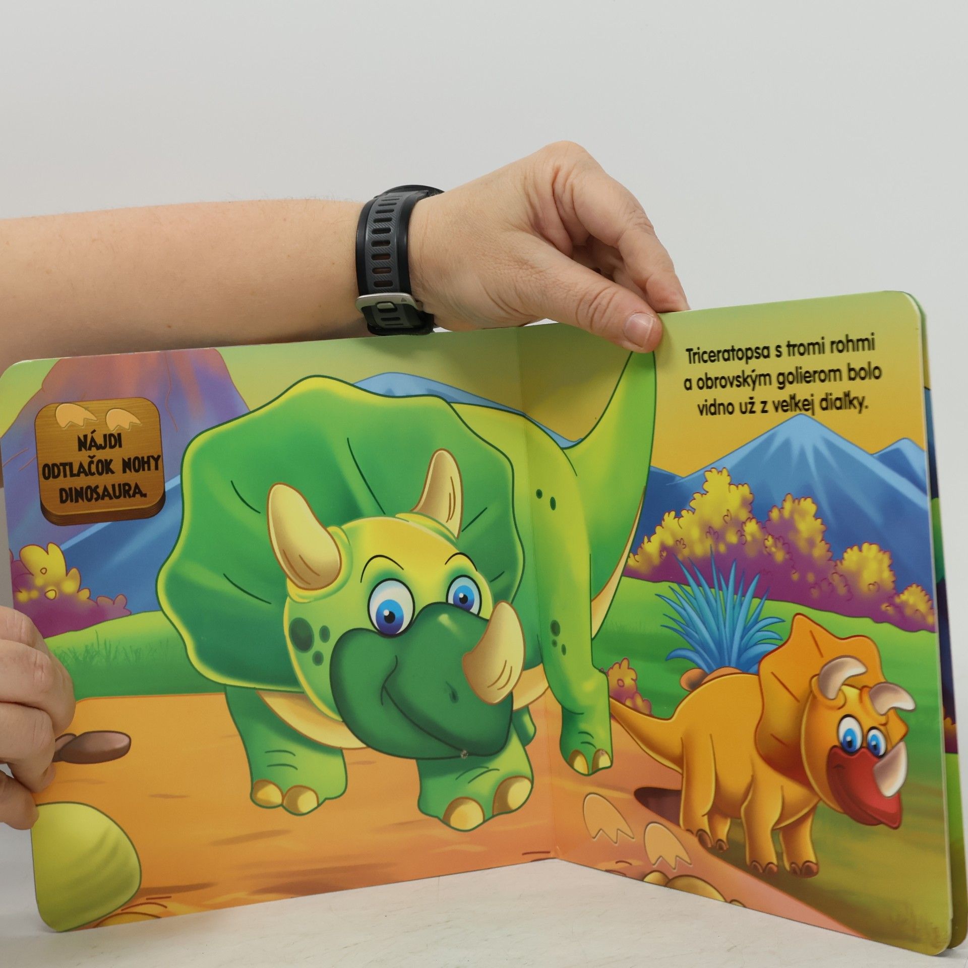 Autorenkollektiv Odvážne dinosaury