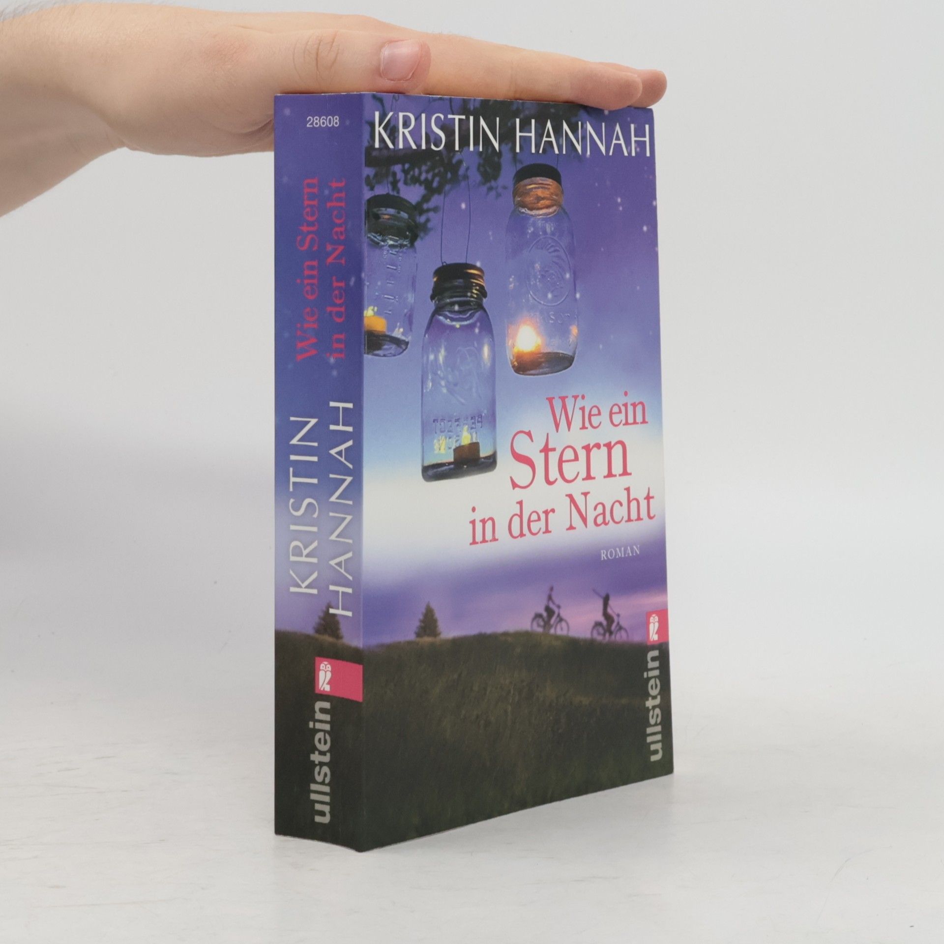 Kristin Hannah Wie ein Stern in der Nacht