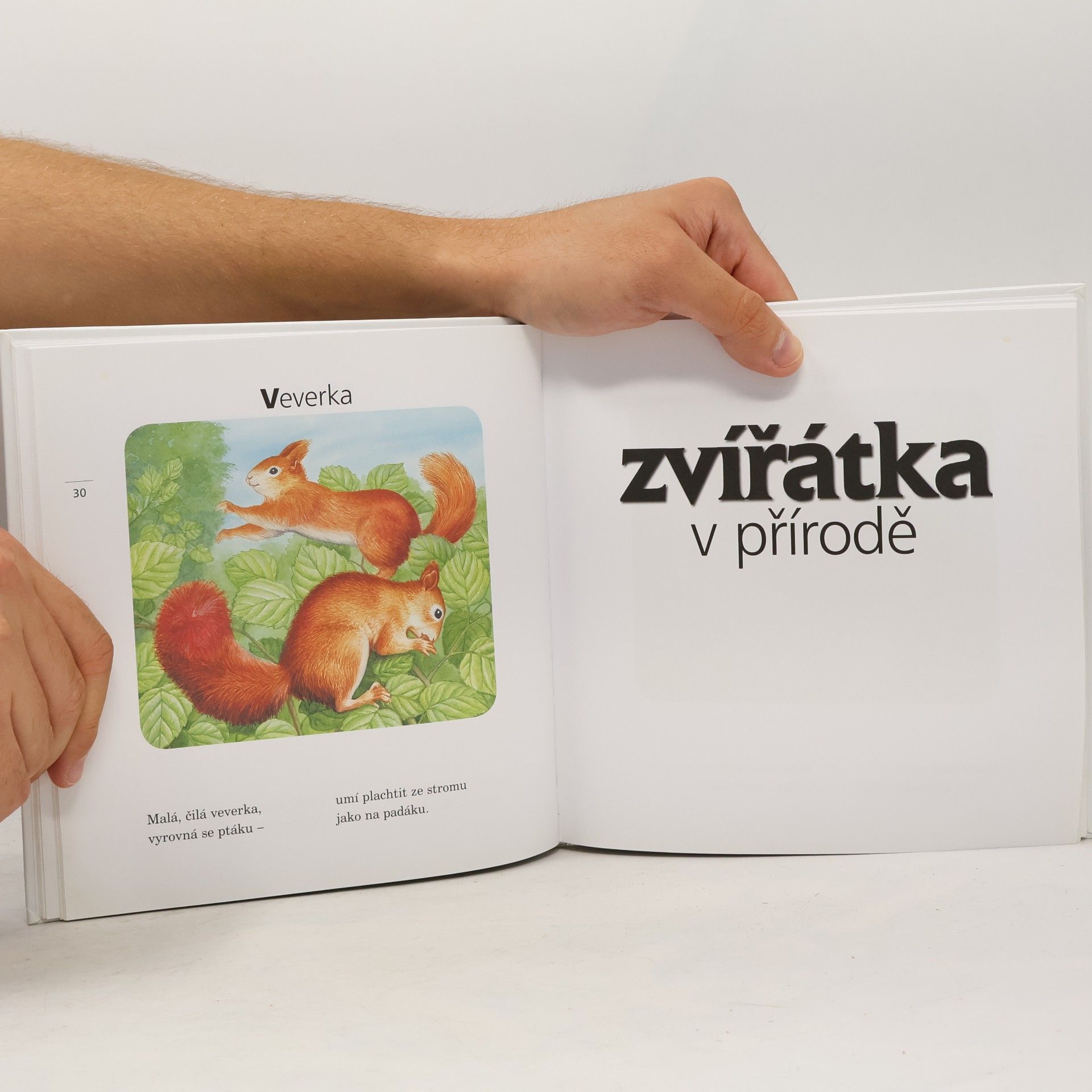 Jiří Žáček Kamarádi zvířátka