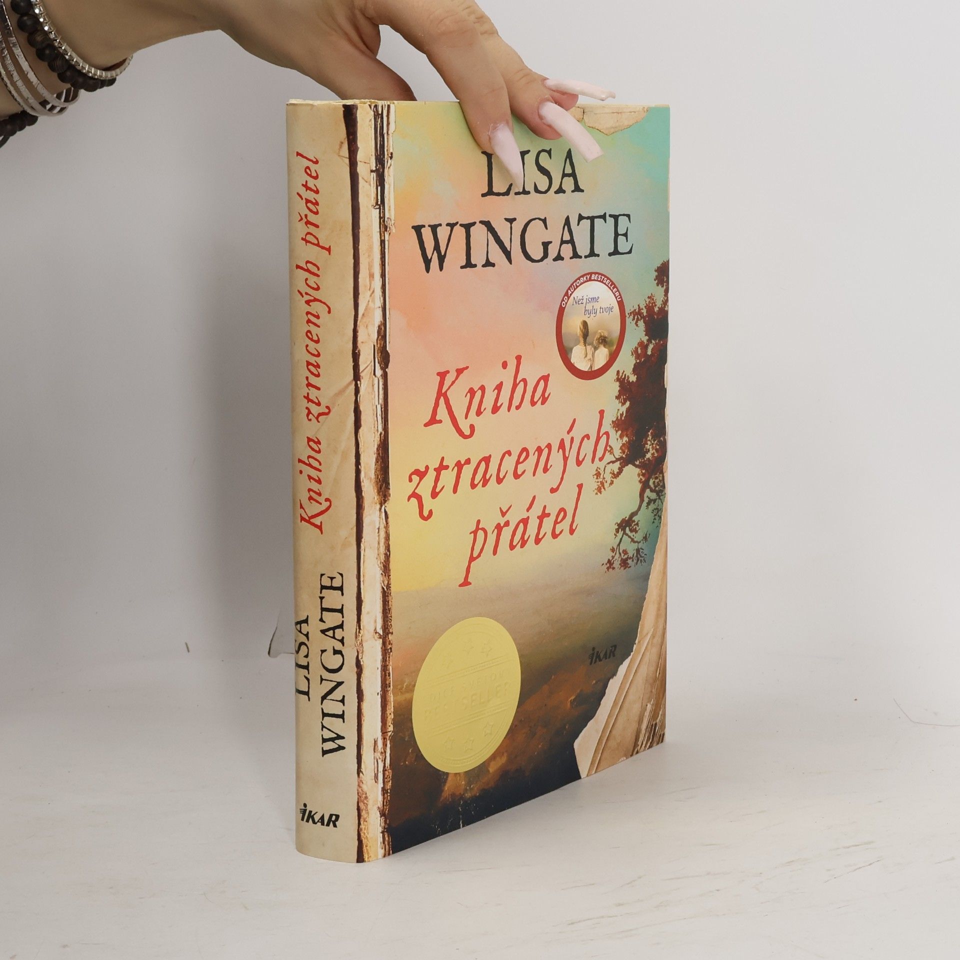 Lisa Wingate Kniha ztracených přátel