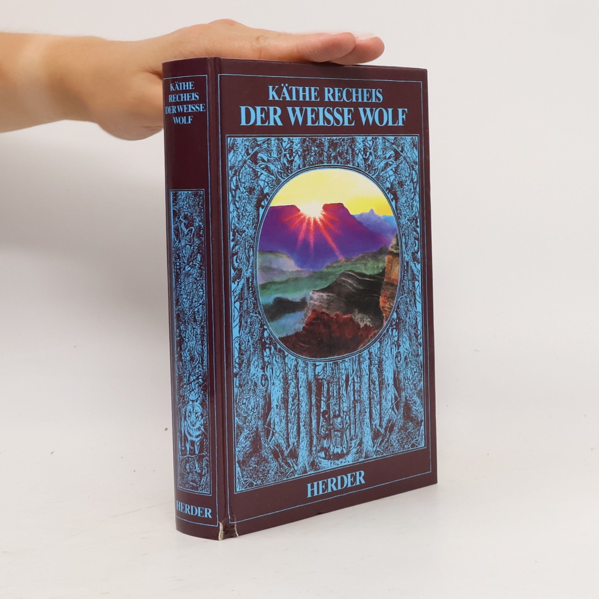 Käthe Recheis Der weisse Wolf
