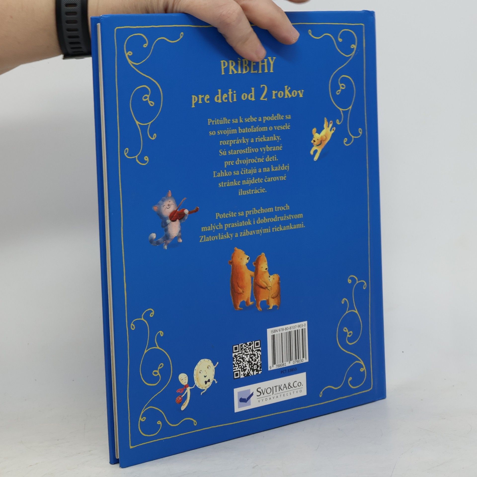 Autorenkollektiv Príbehy pro deti od 2 rokov