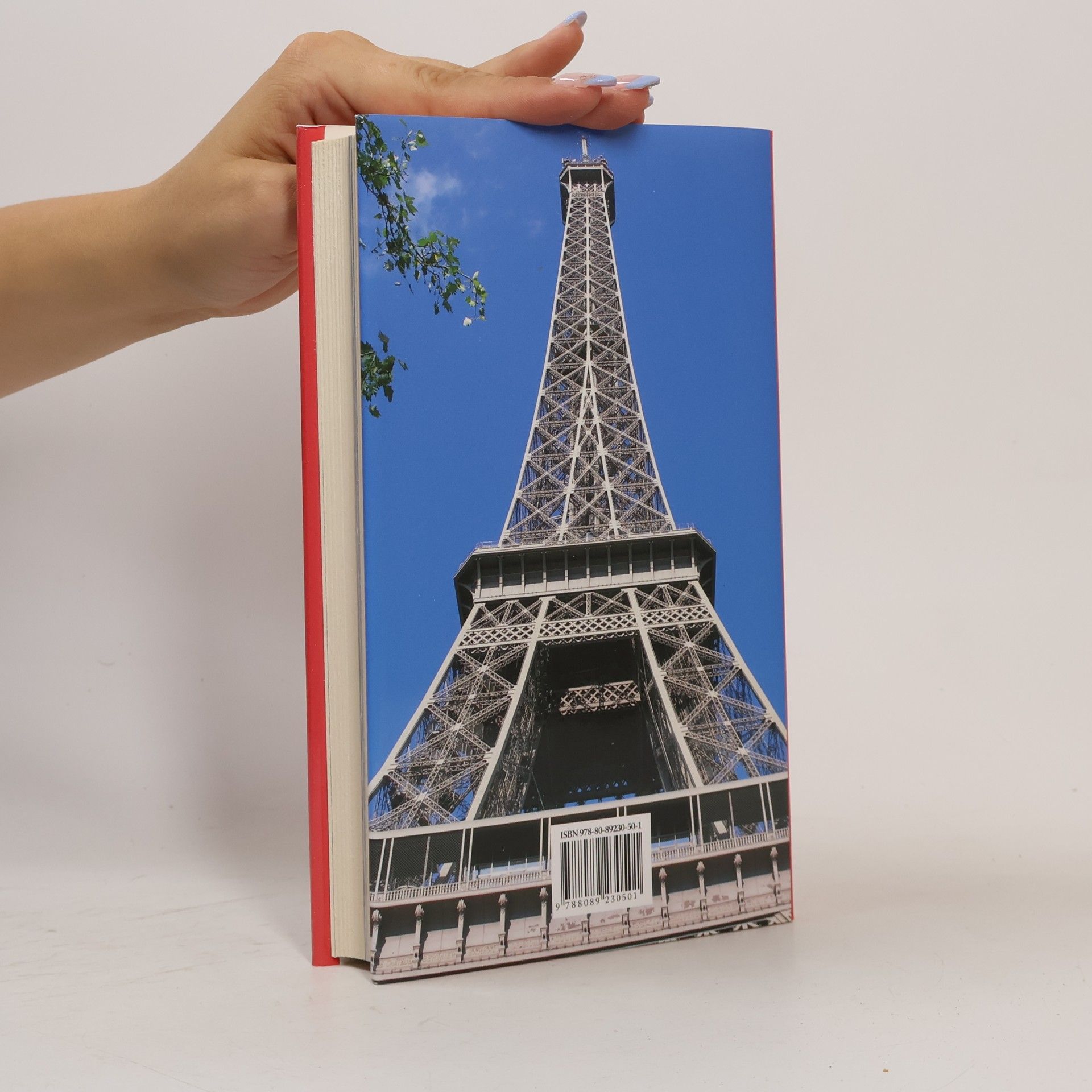 Mária Dopjerová Danthine Paríž - moja láska, môj život