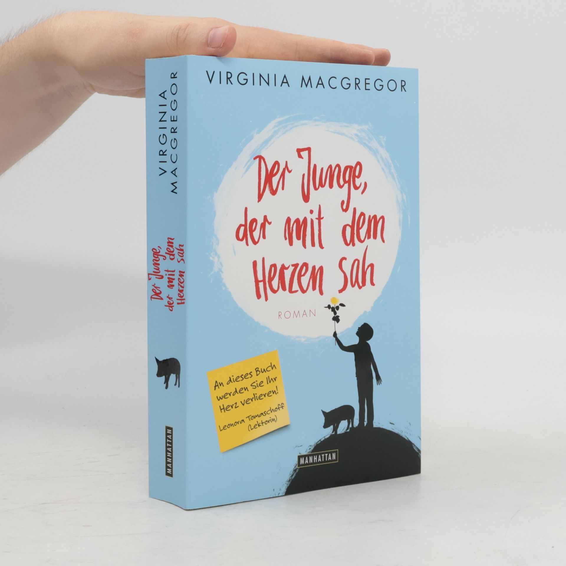 Virginia Macgregor Der Junge, der mit dem Herzen sah