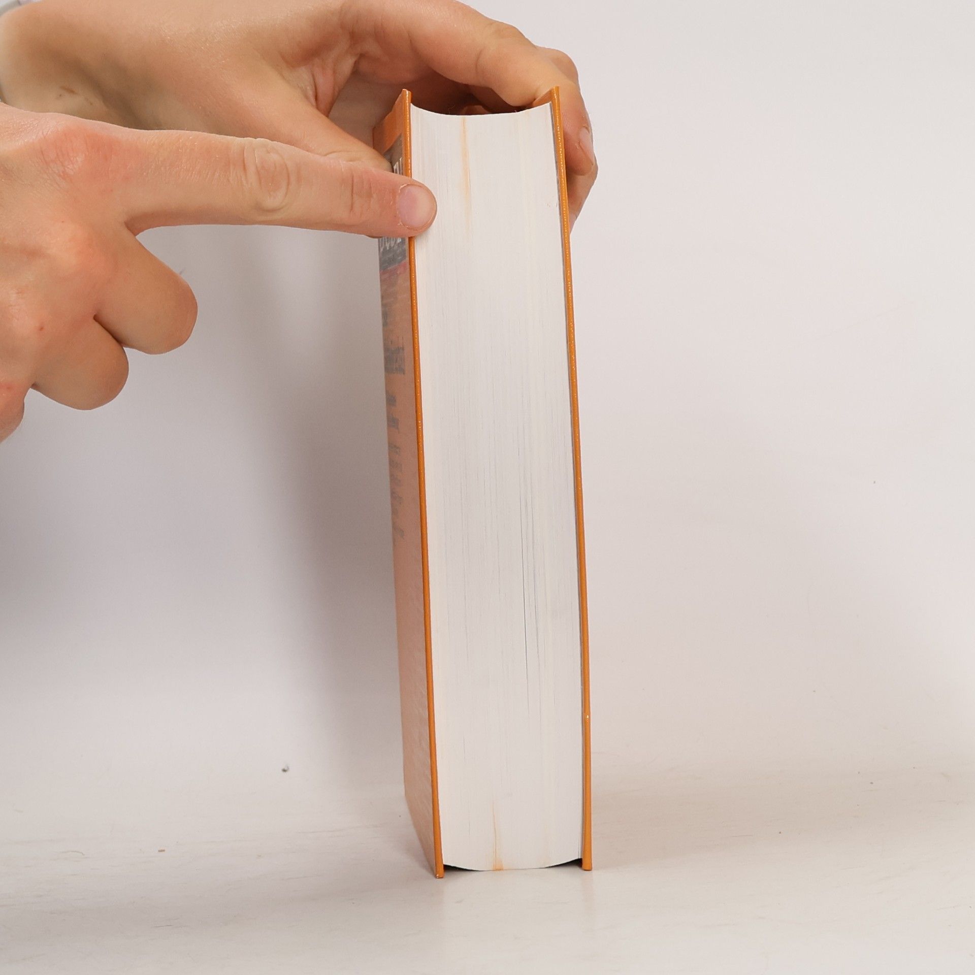 Kurt Dieter Solf Duden Bildwörterbuch der deutschen Sprache