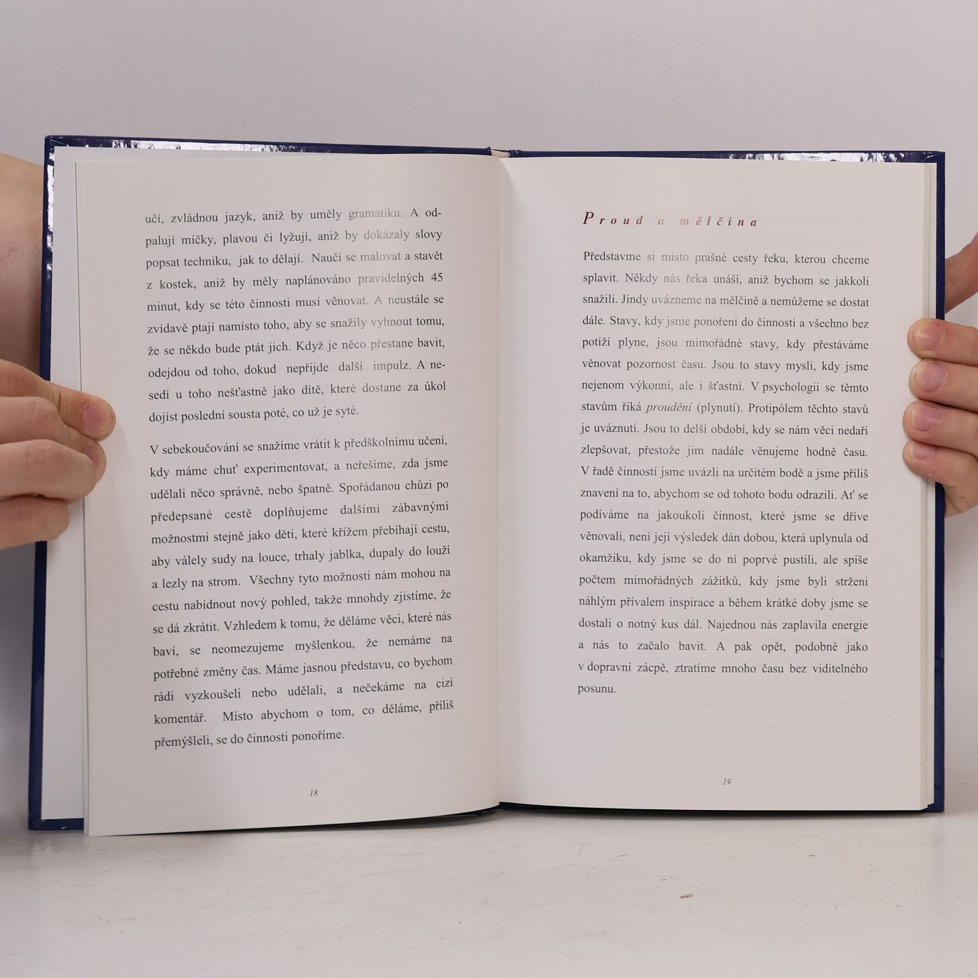 Radvan Bahbouh Pohádka o ztracené krajině. Psychologie sebekoučování