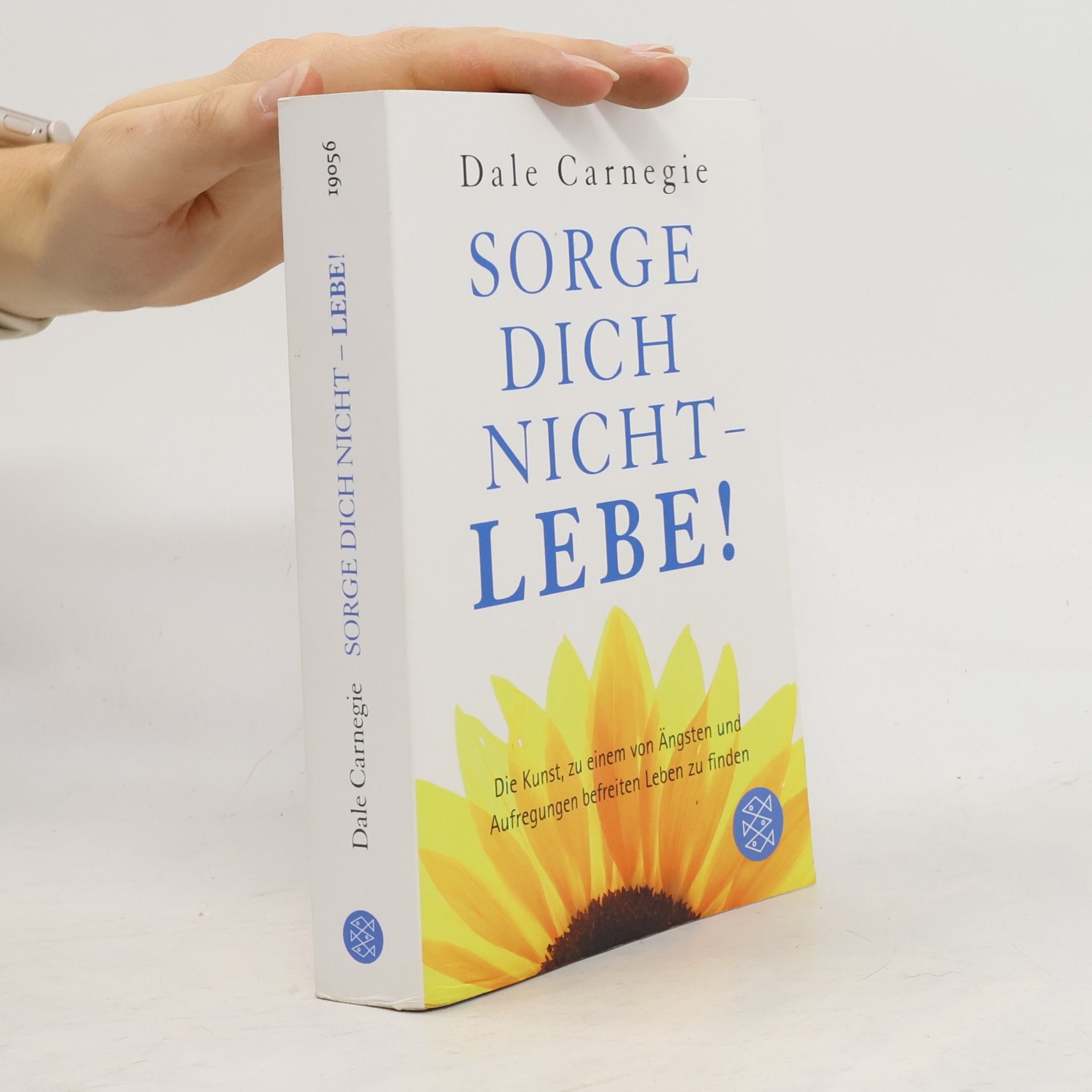 Dale Carnegie Sorge dich nicht - lebe!