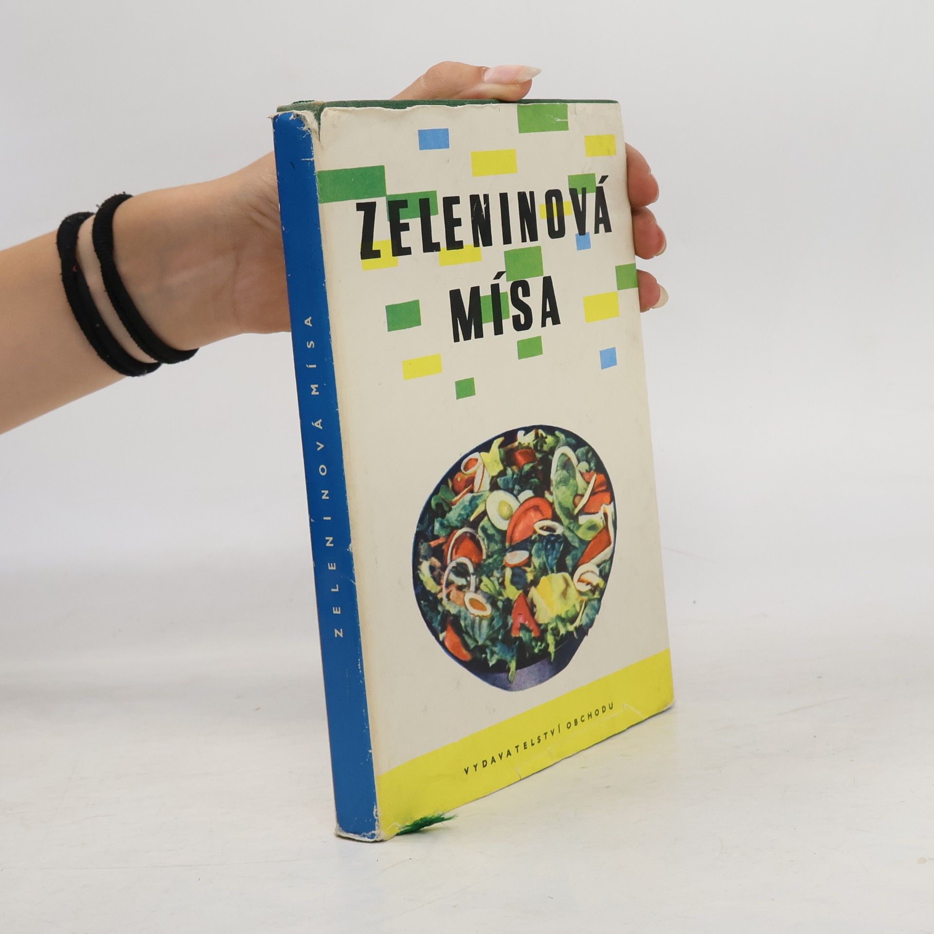 Kolektiv autorů Zeleninová mísa
