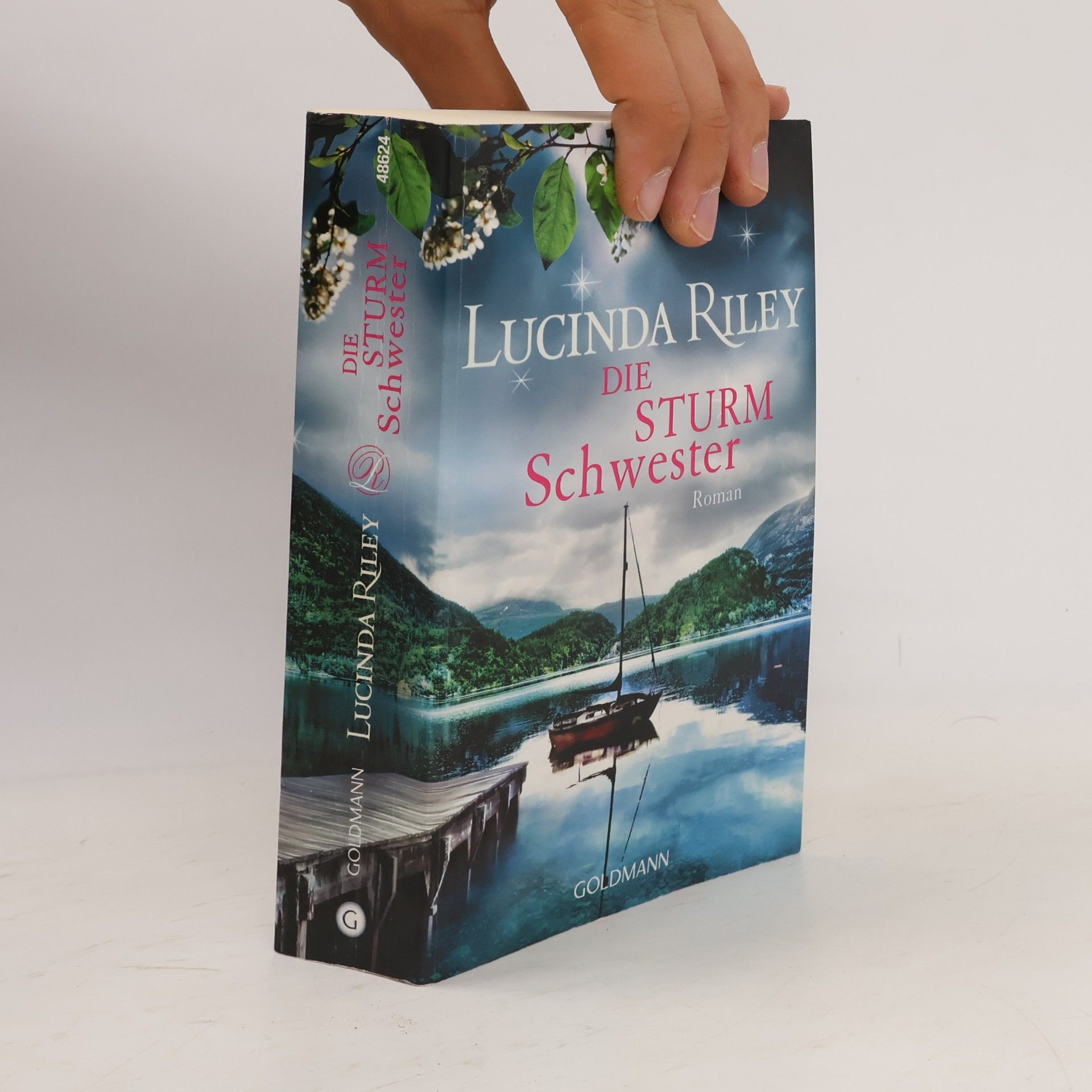 Lucinda Riley Die Sturmschwester
