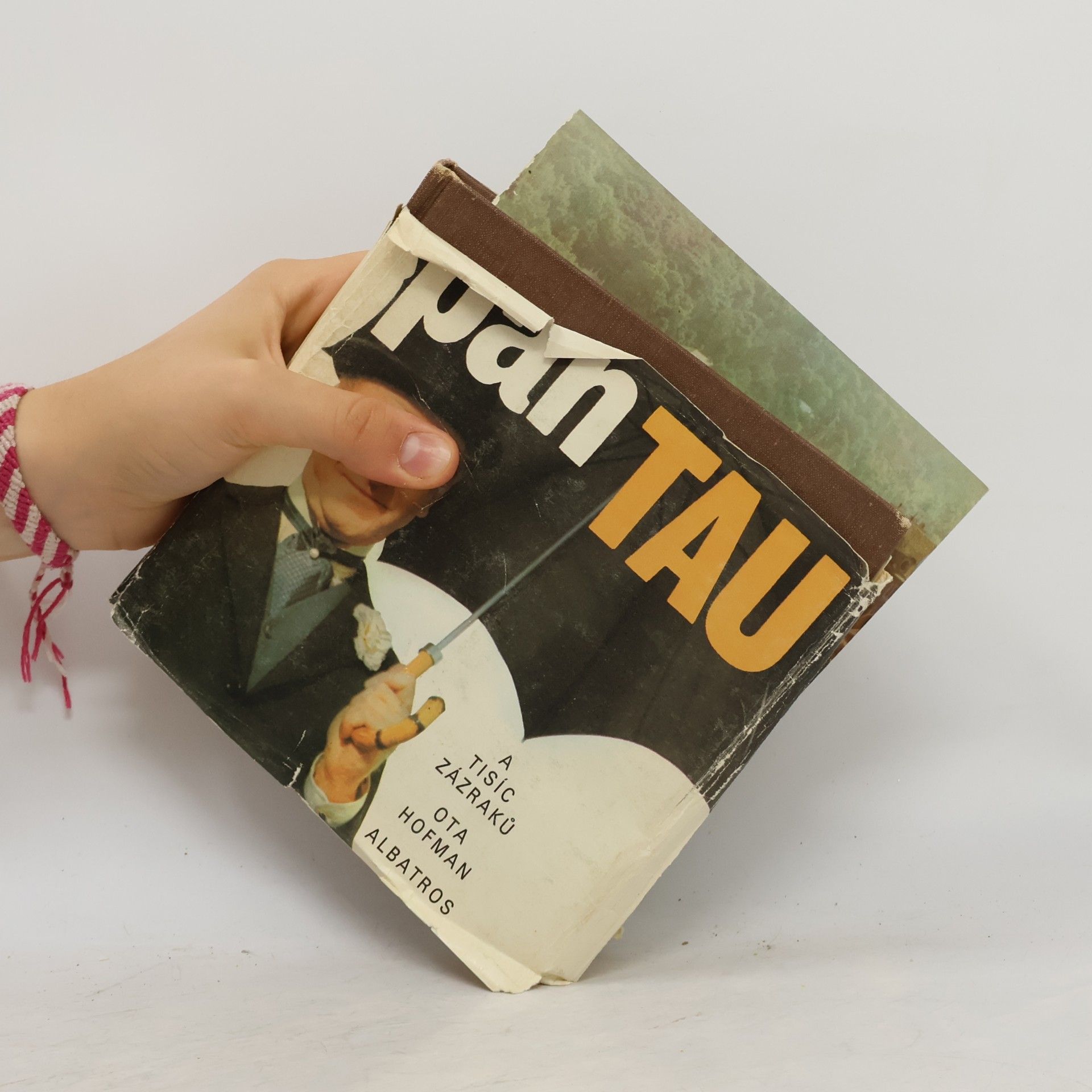 Ota Hofman Pan Tau a tisíc zázraků