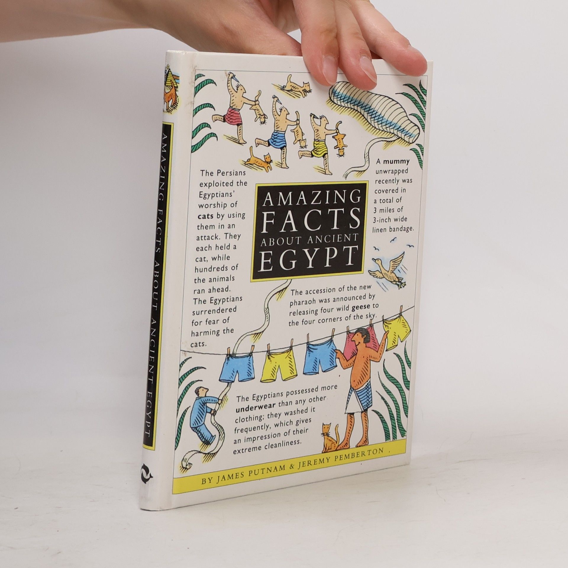 Jeremy Pemberton Amazing Facts about Ancient Egypt