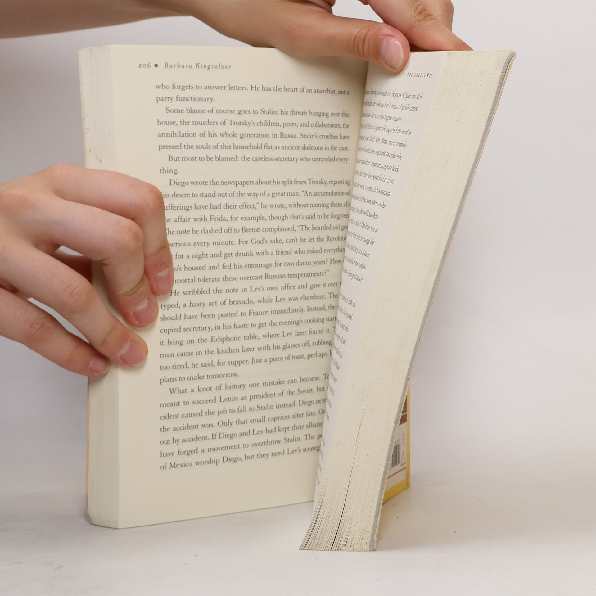Barbara Kingsolver The Lacuna