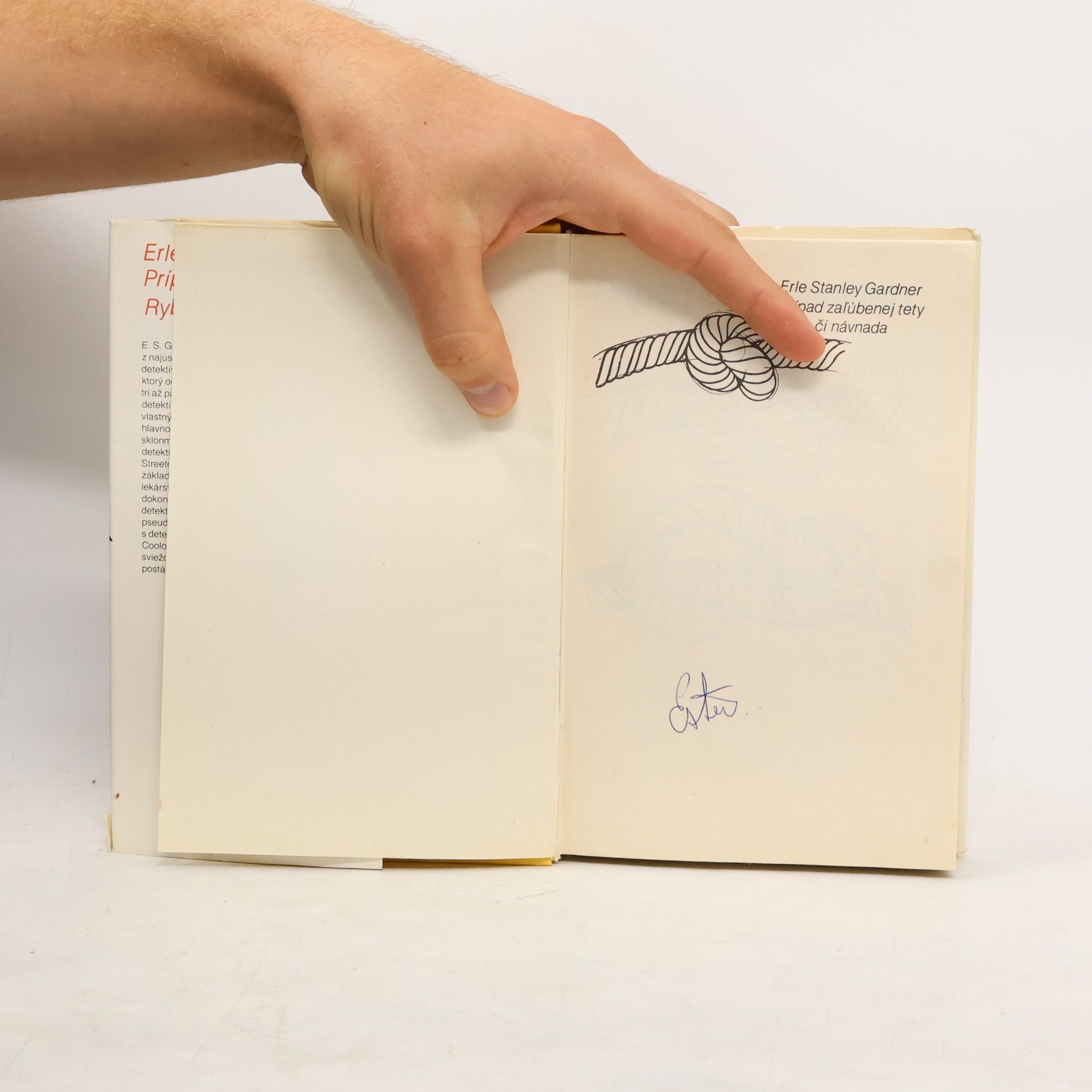 Erle Stanley Gardner Prípad zaľúbenej tety