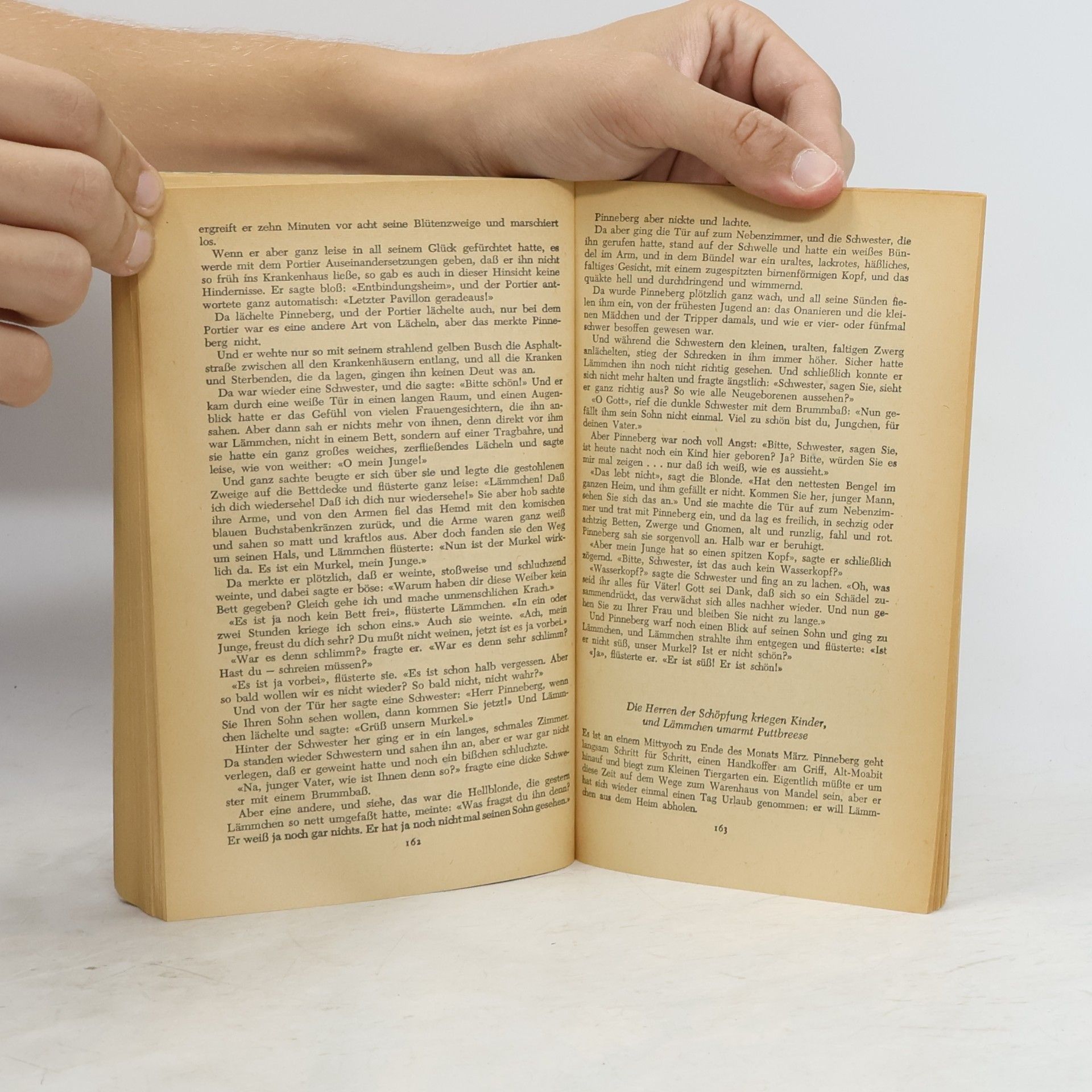 Hans Fallada Kleiner Mann was nun?