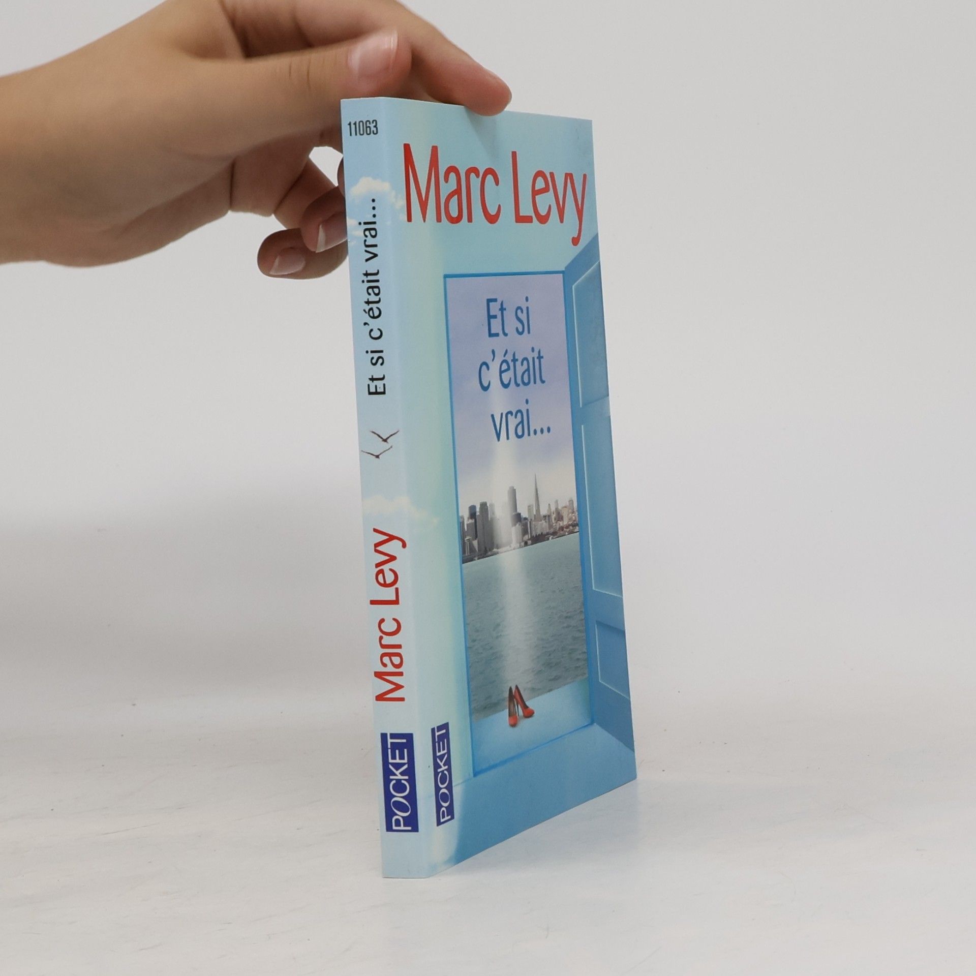 Marc Lévy Et si c'était vrai...
