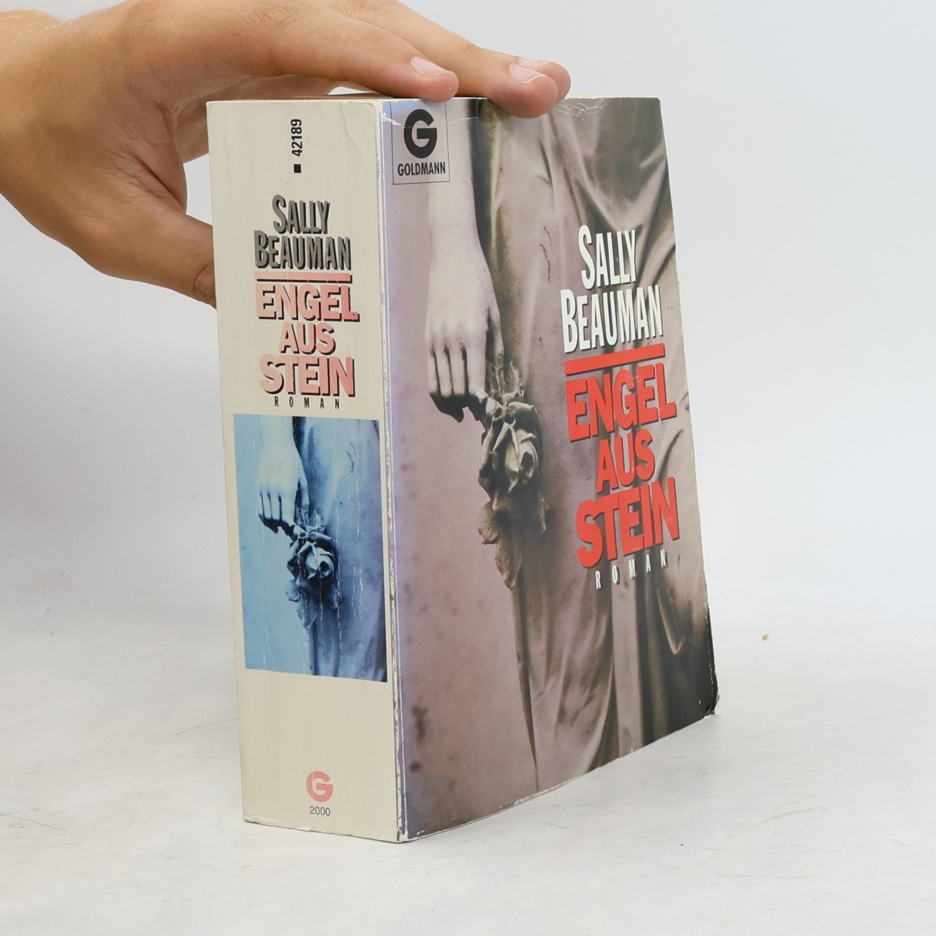 Sally Beauman Engel aus Stein