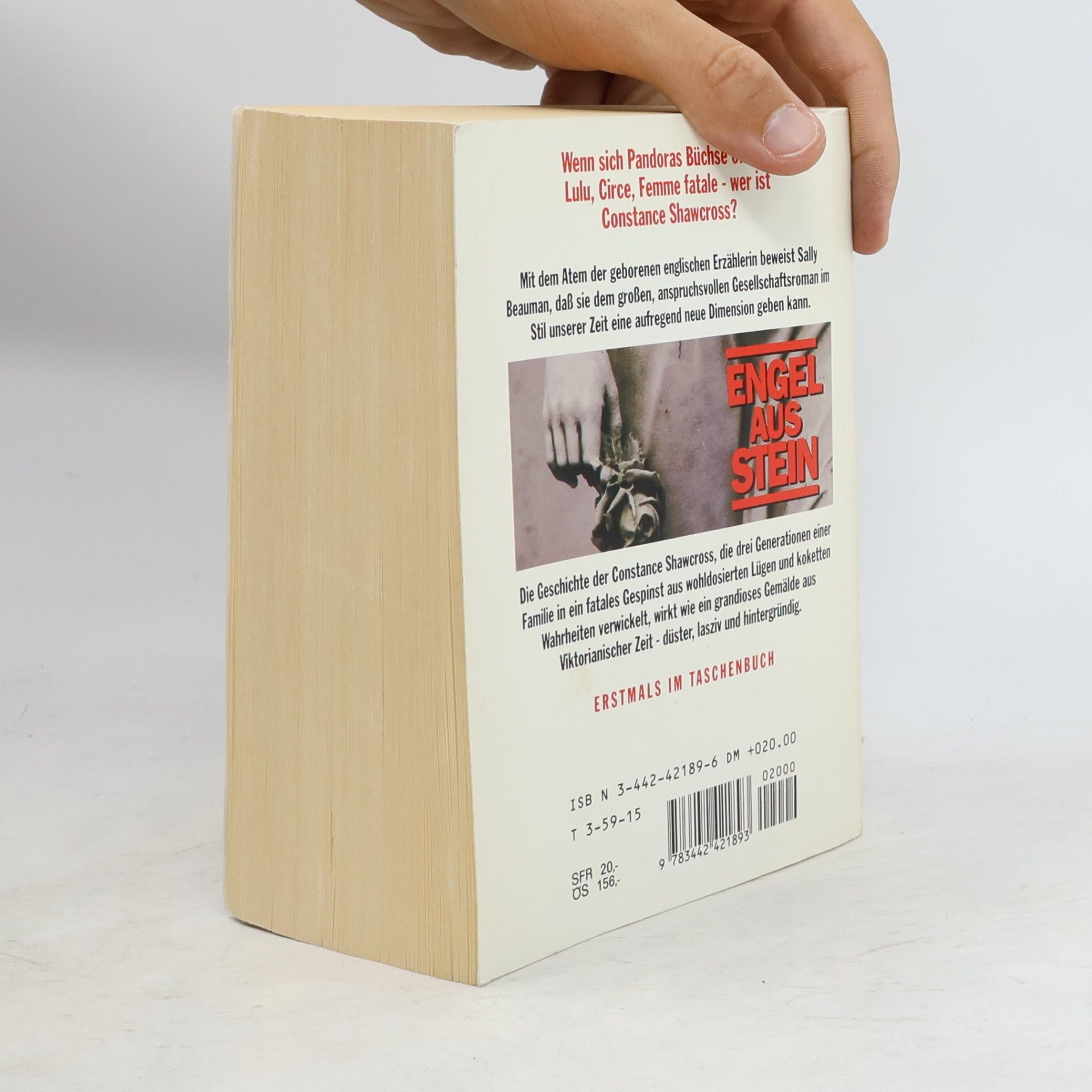 Sally Beauman Engel aus Stein