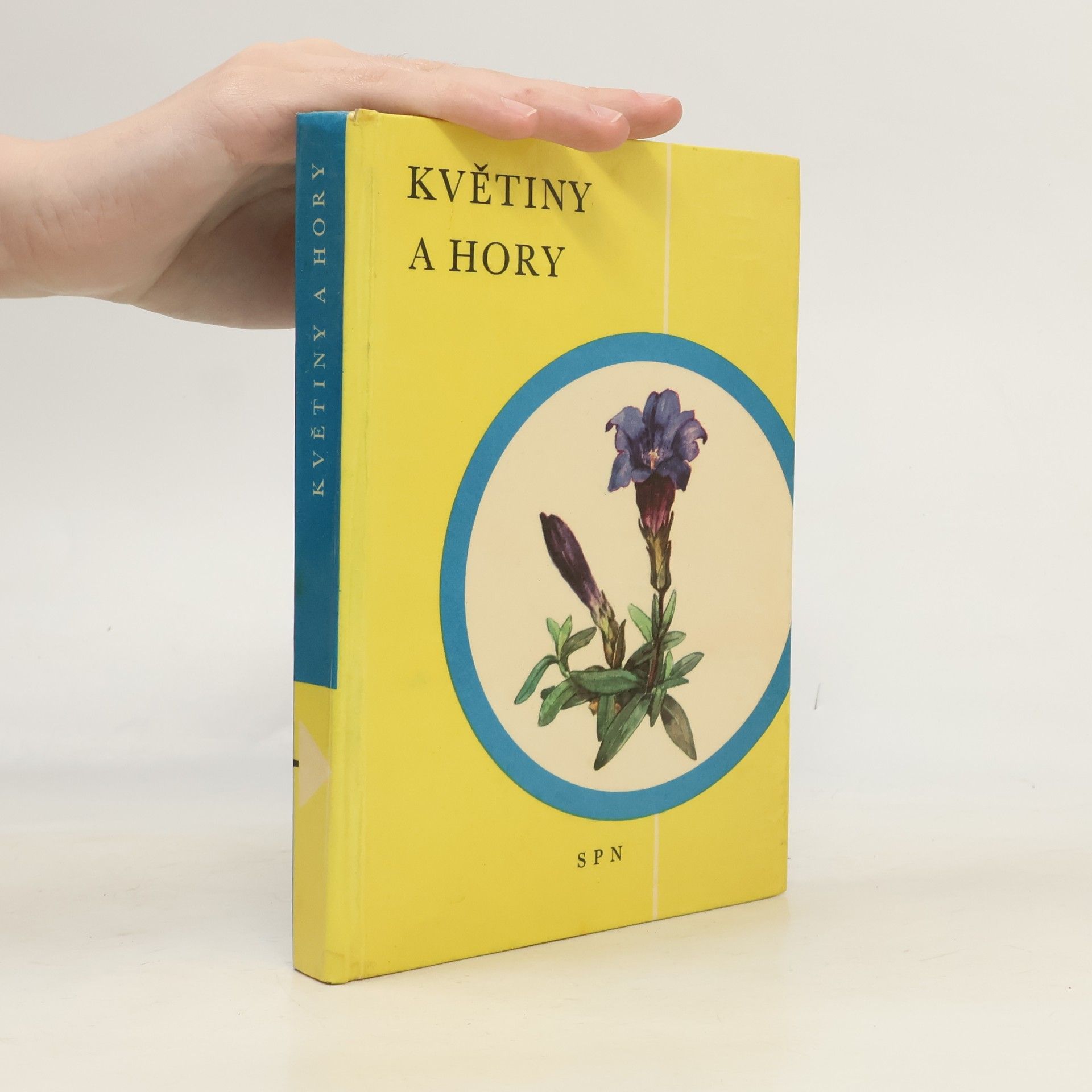 Anna Kavinová Květiny a hory