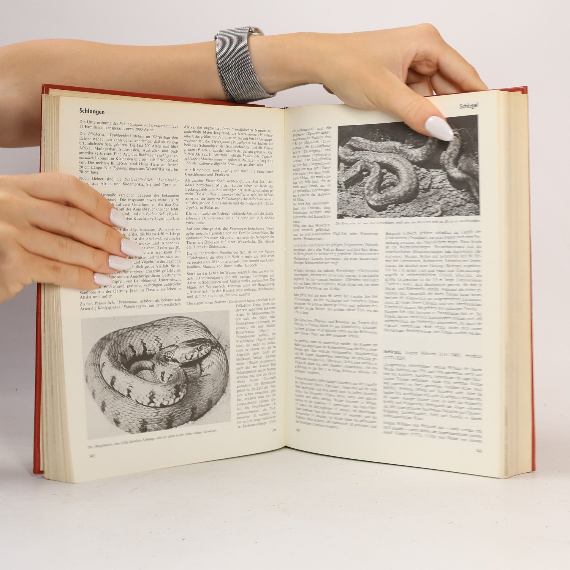 Various authors Das Wissen de 20. Jahrhunderts 5