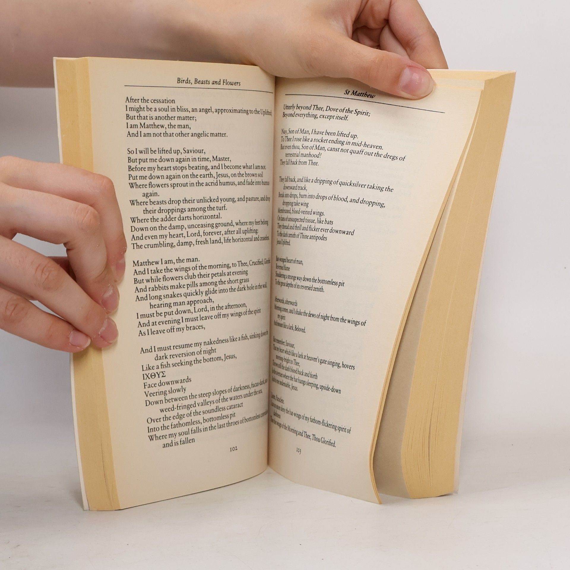 Mara Kalnins Selected poems