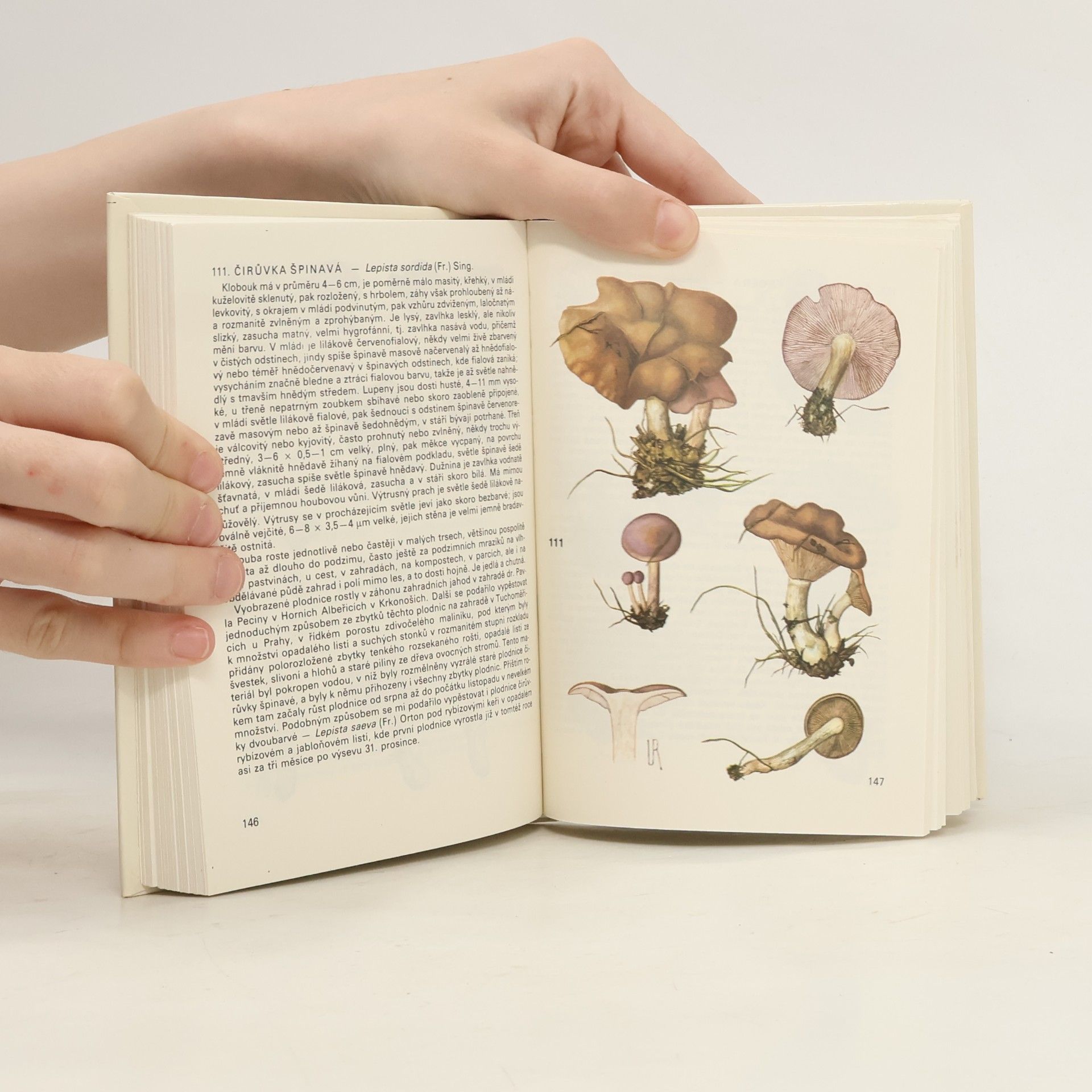 Antonín Příhoda Kapesní atlas hub 2