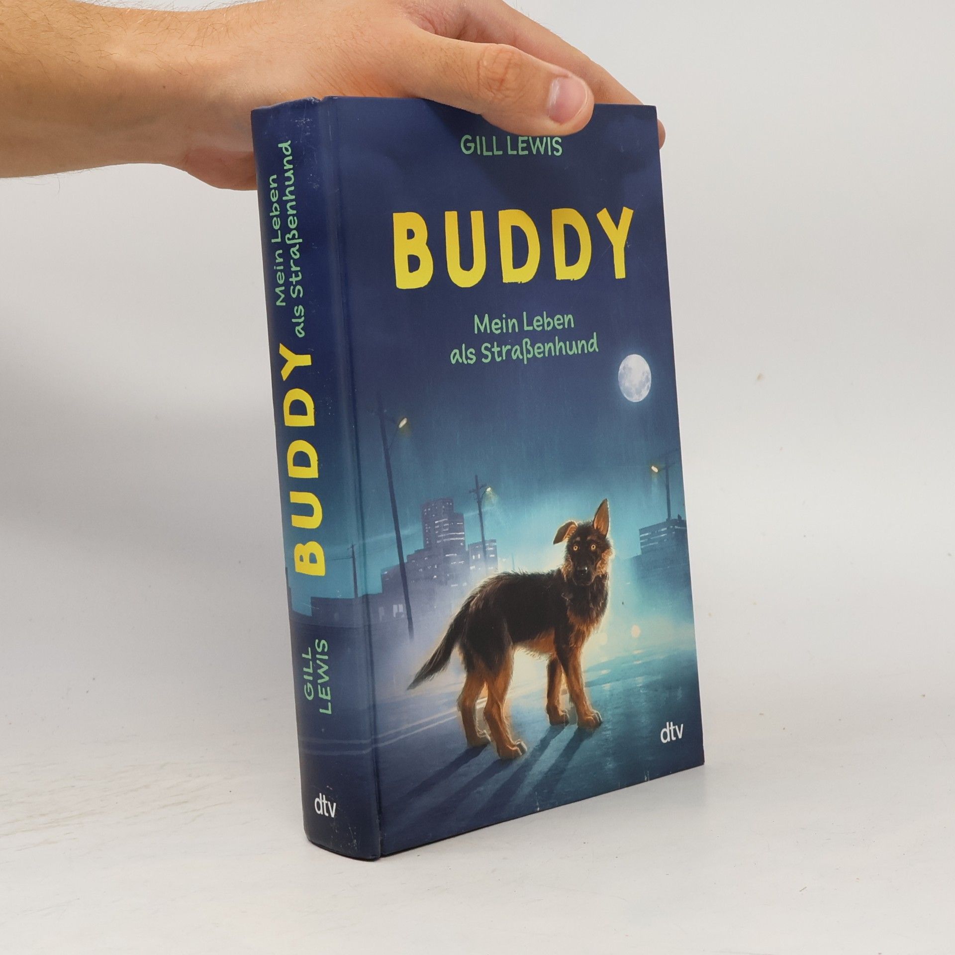Gill Lewis Buddy - Mein Leben als Straßenhund